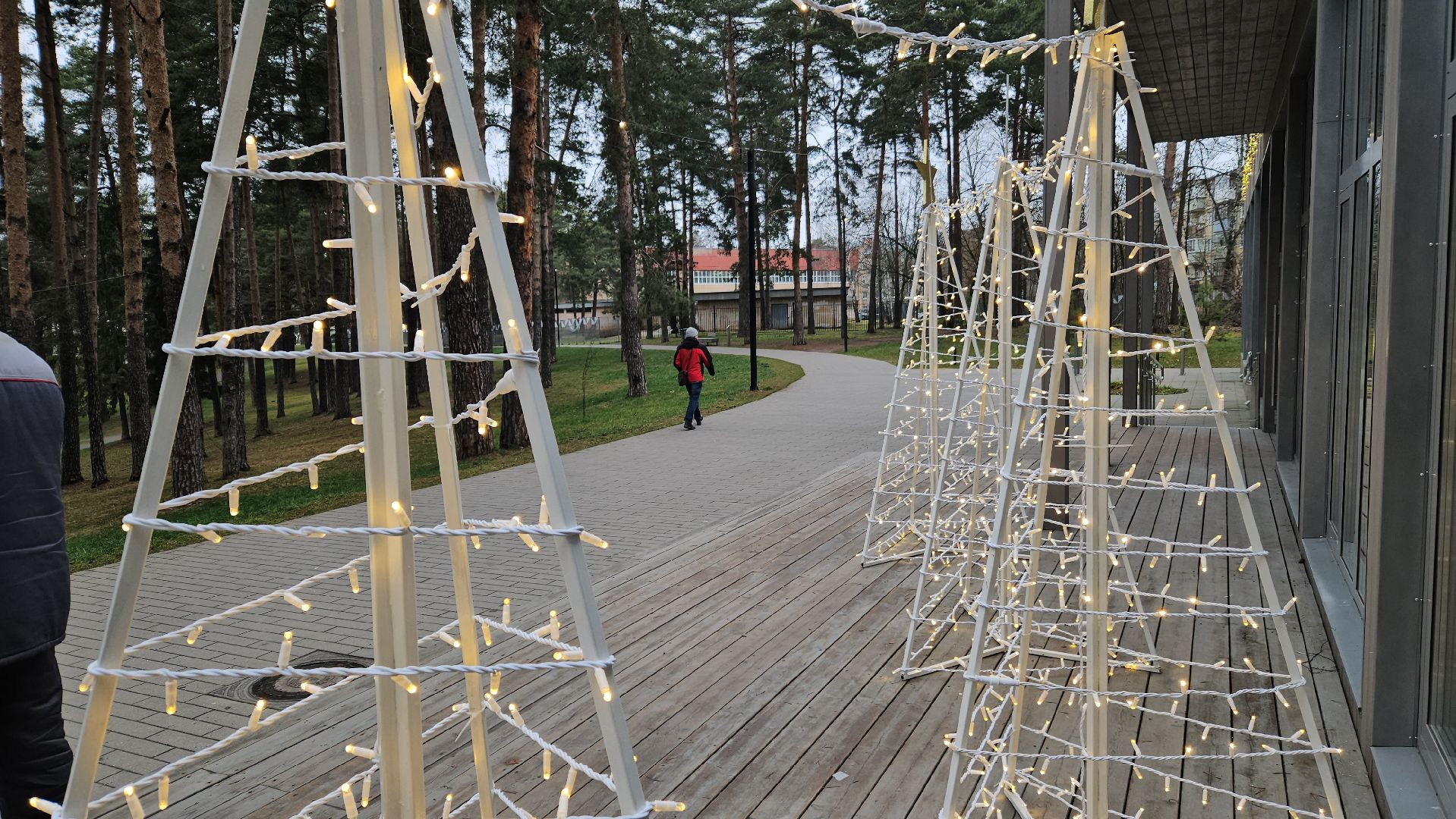 зима в подмосковье, жуковский, новогодняя елка,