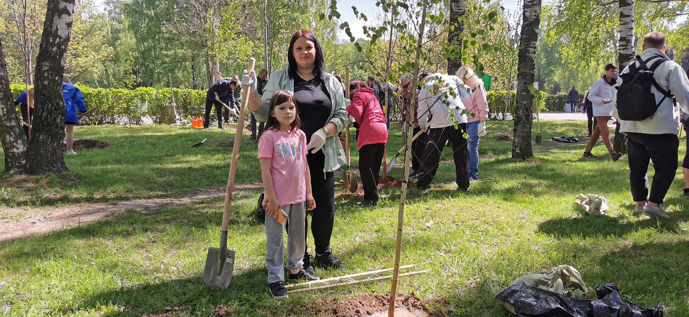 лес победы, экология, озеленение, благоустройство,