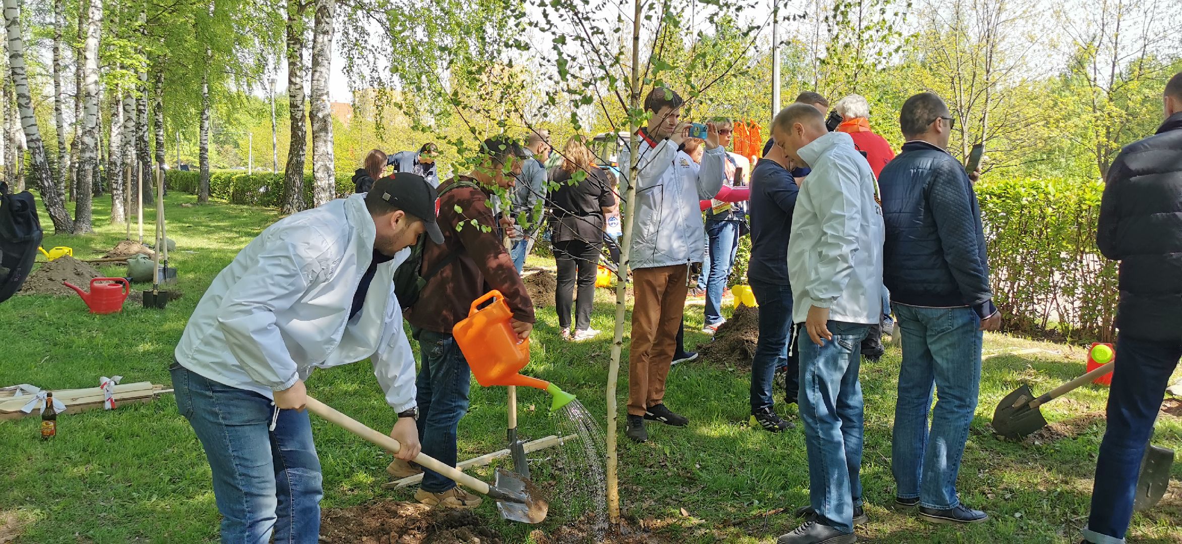 лес победы, экология, озеленение, благоустройство,
