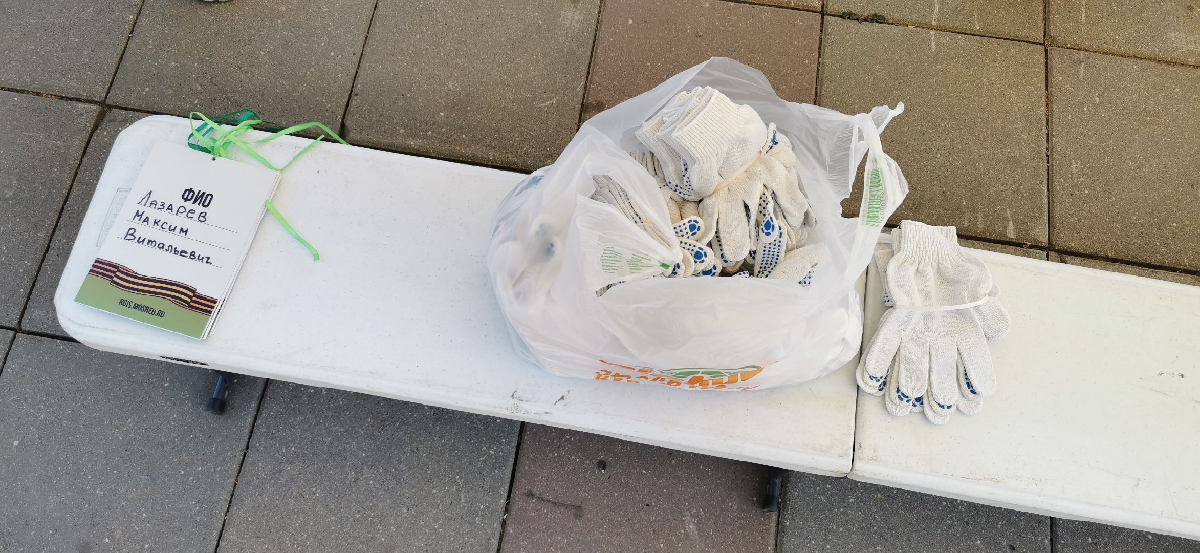 лес победы, экология, озеленение, благоустройство,