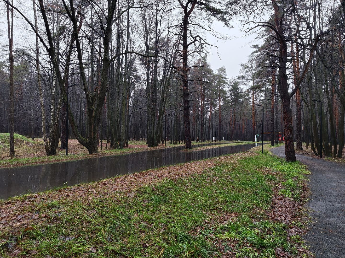 лыткарино, выездная администиация, общество,