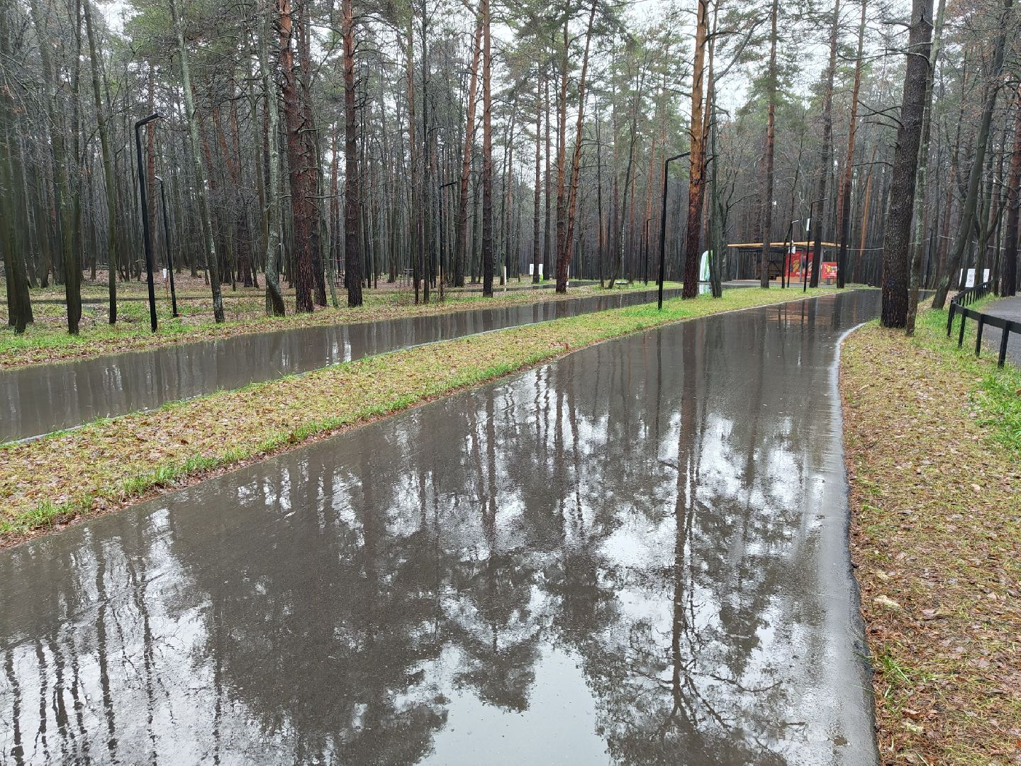 лыткарино, выездная администиация, общество,
