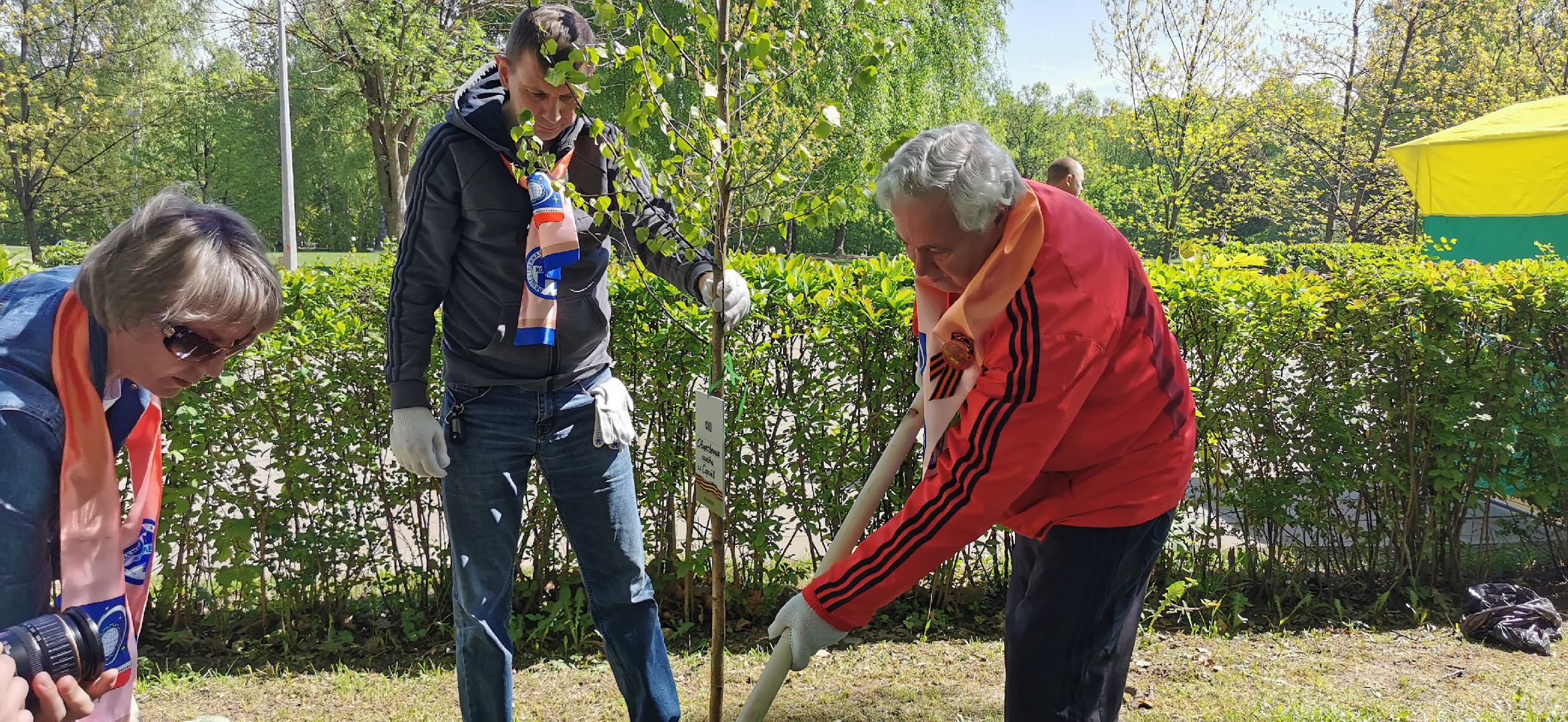 лес победы, озеленение, экология,