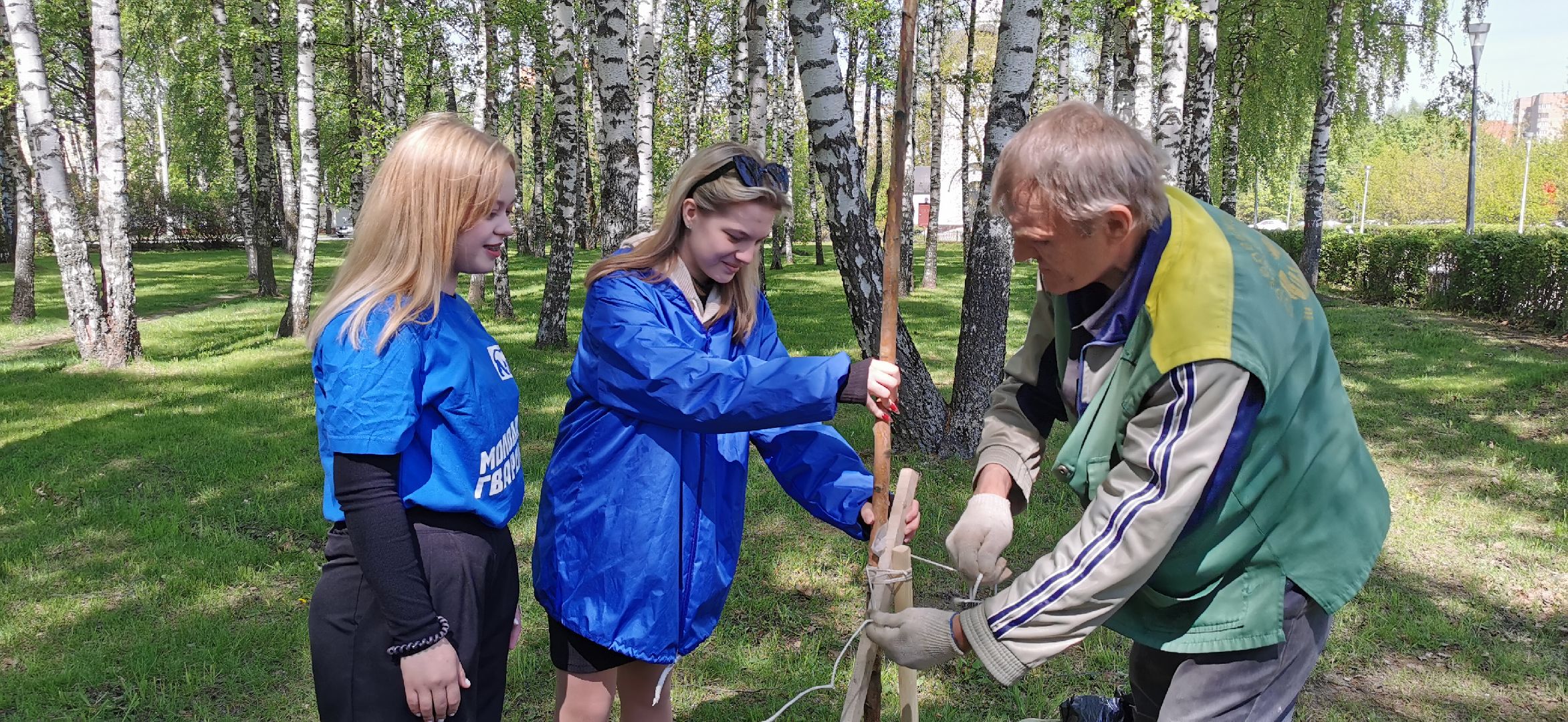 лес победы, озеленение, экология,