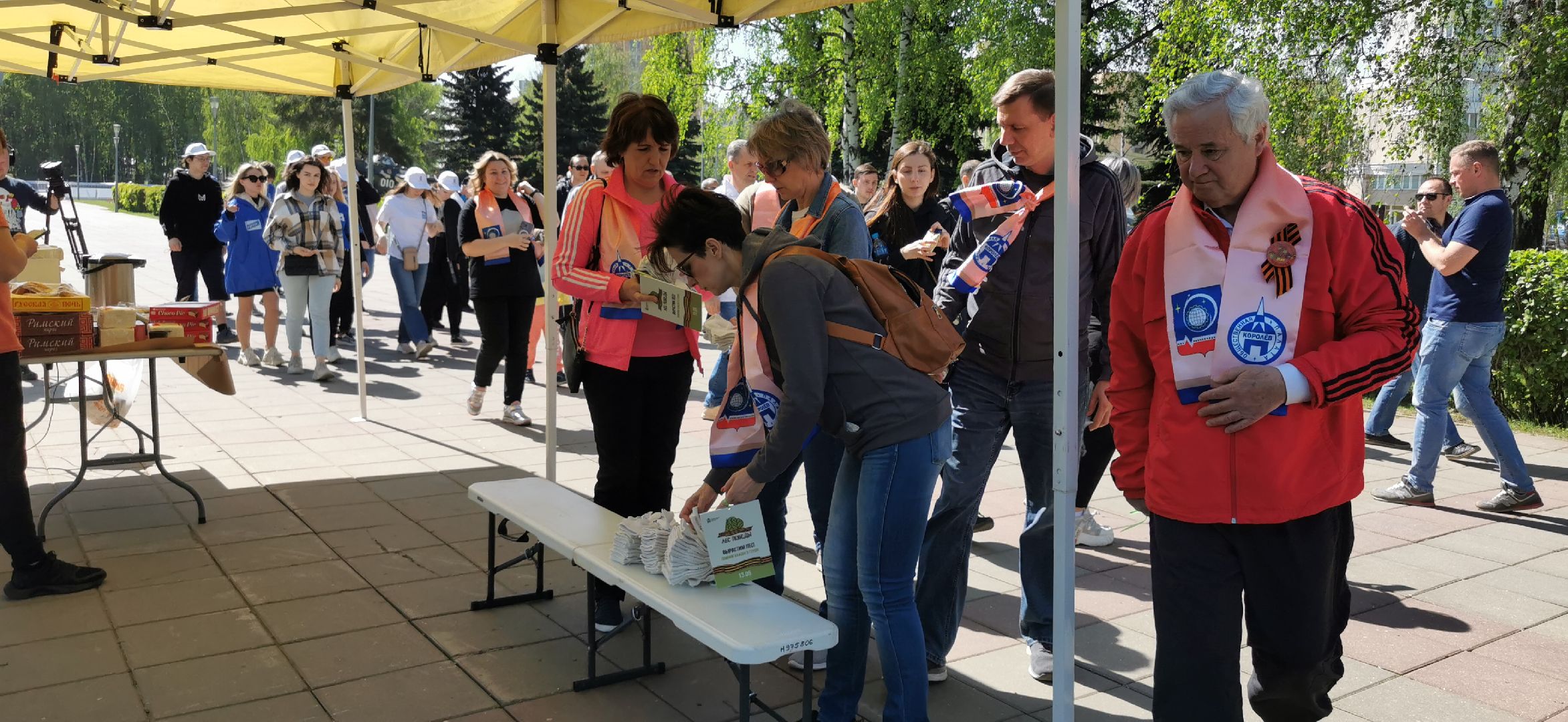 лес победы, озеленение, экология,