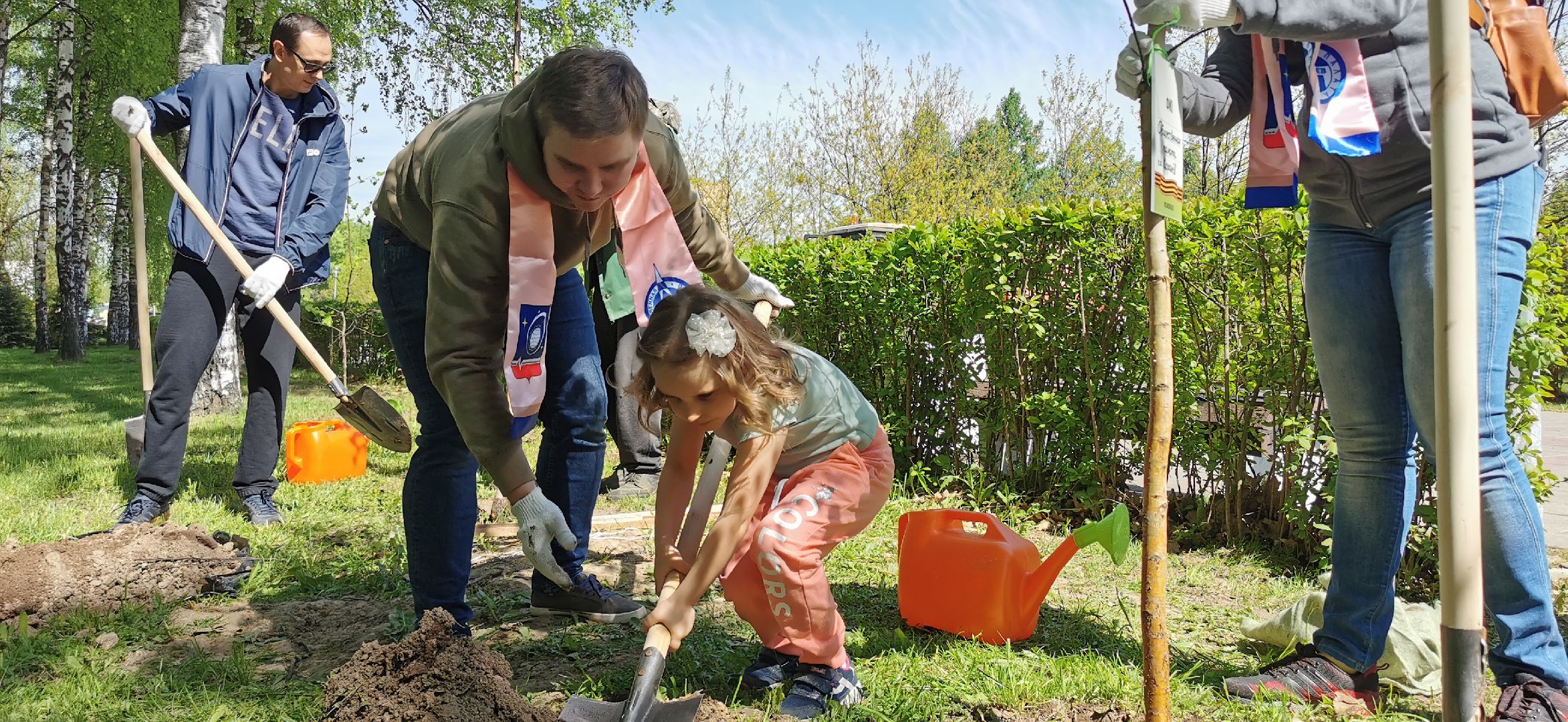 лес победы, озеленение, экология,