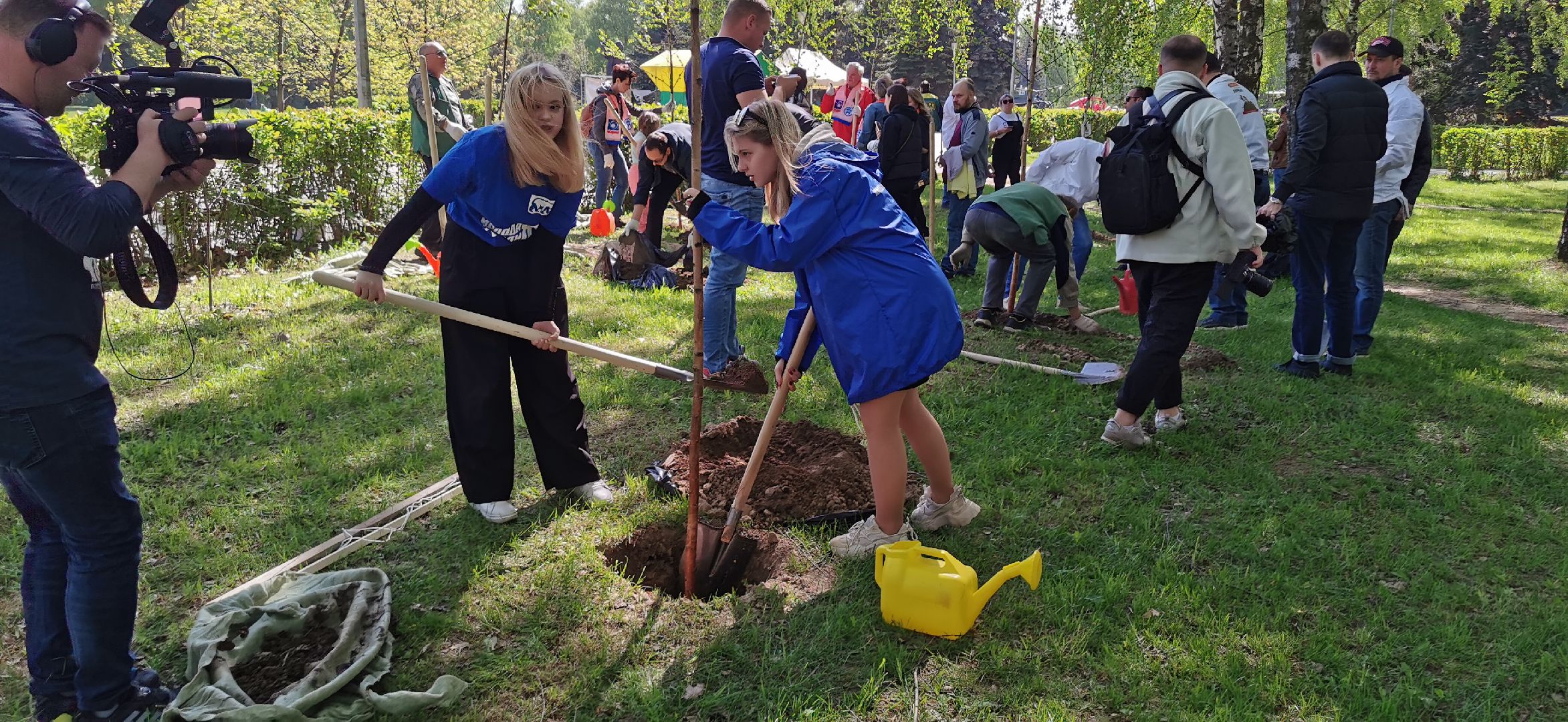 лес победы, озеленение, экология,