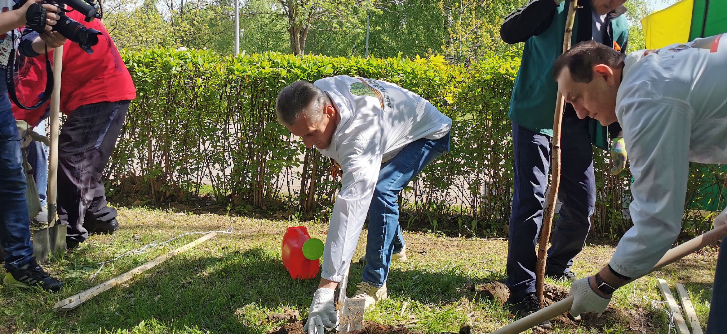лес победы, озеленение, экология,