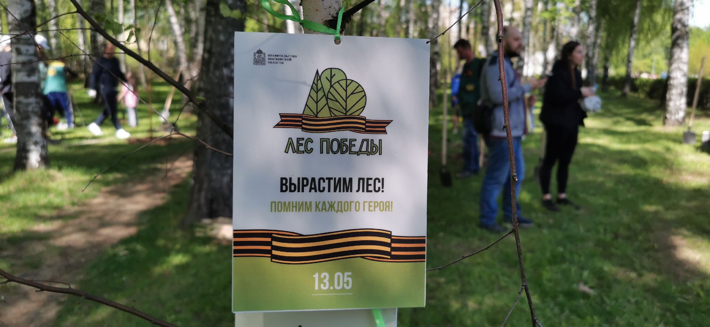 лес победы, озеленение, экология,