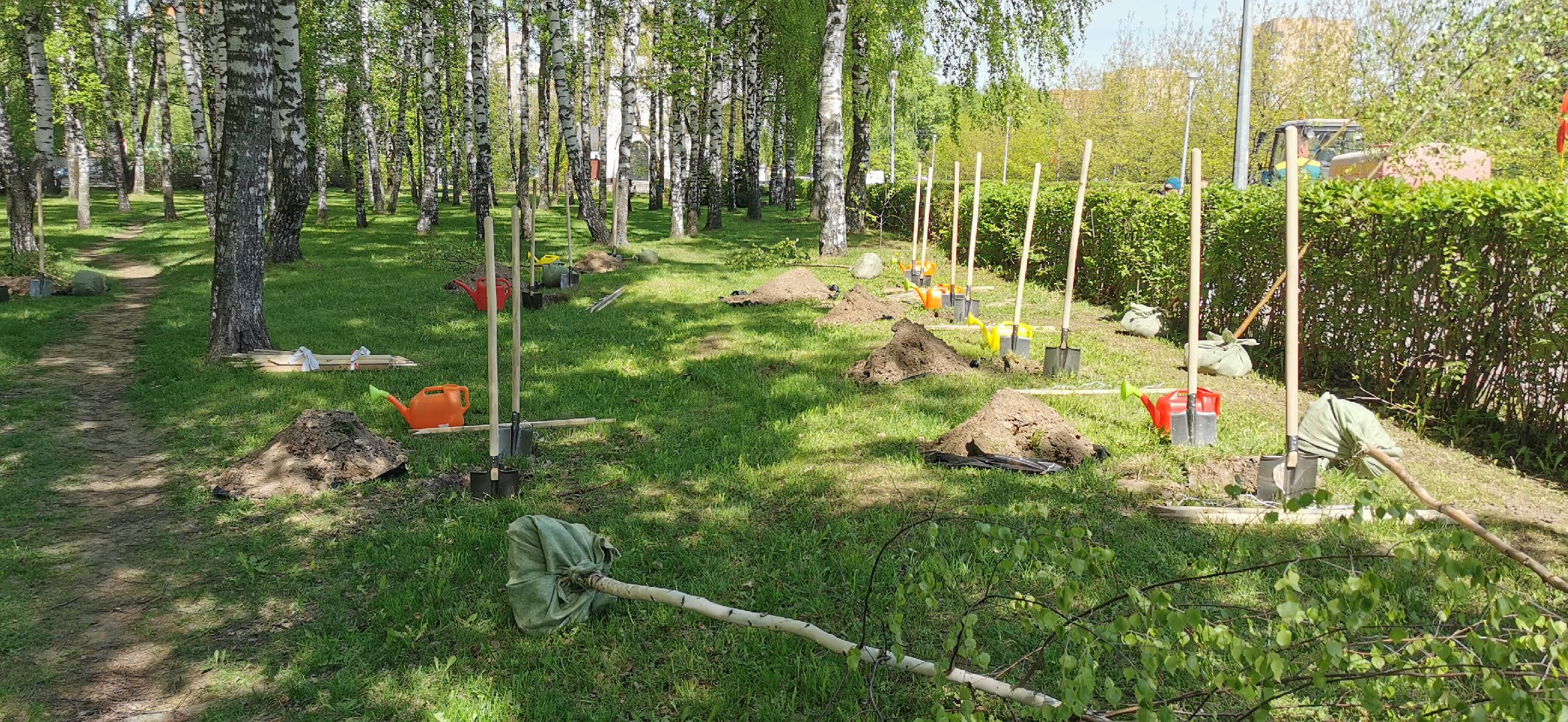 лес победы, озеленение, экология,