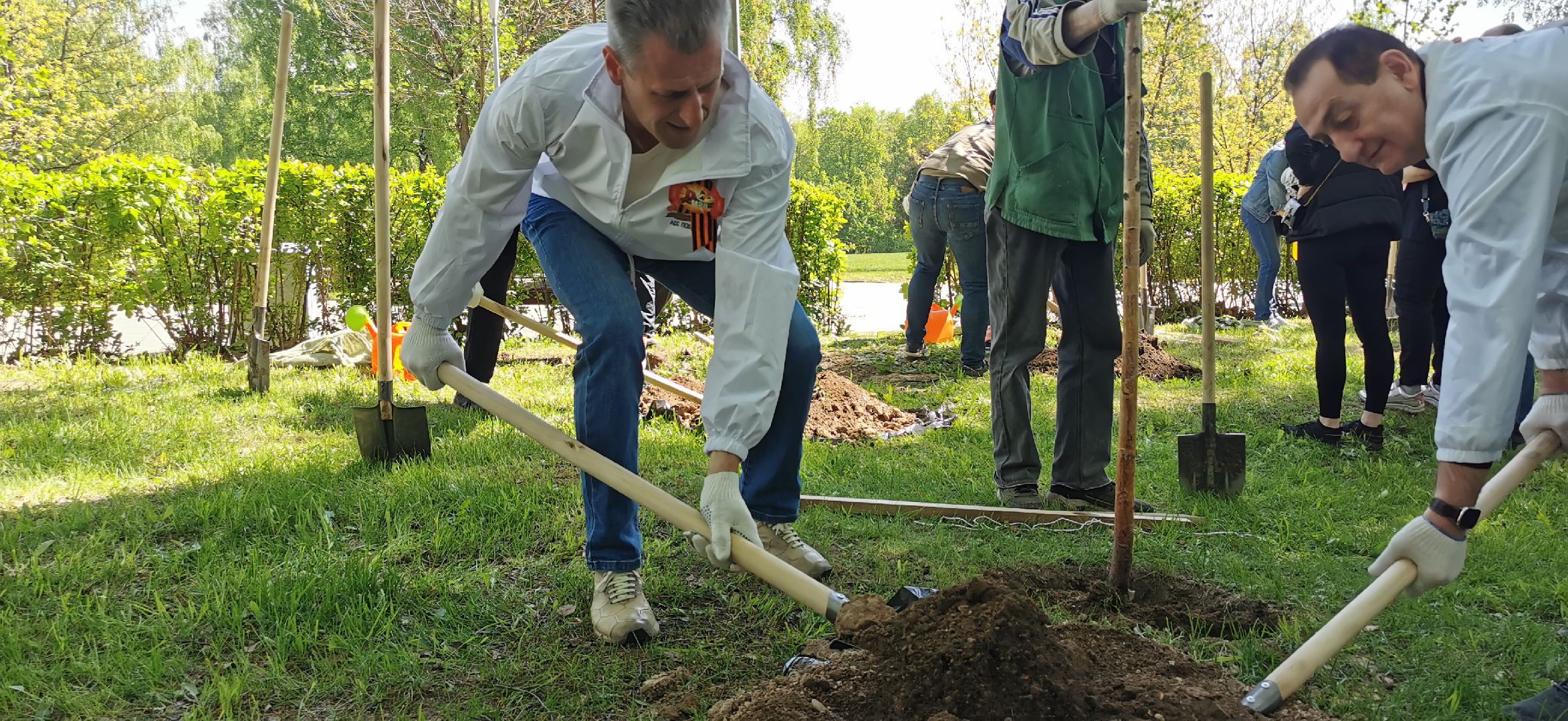 лес победы, озеленение, экология,