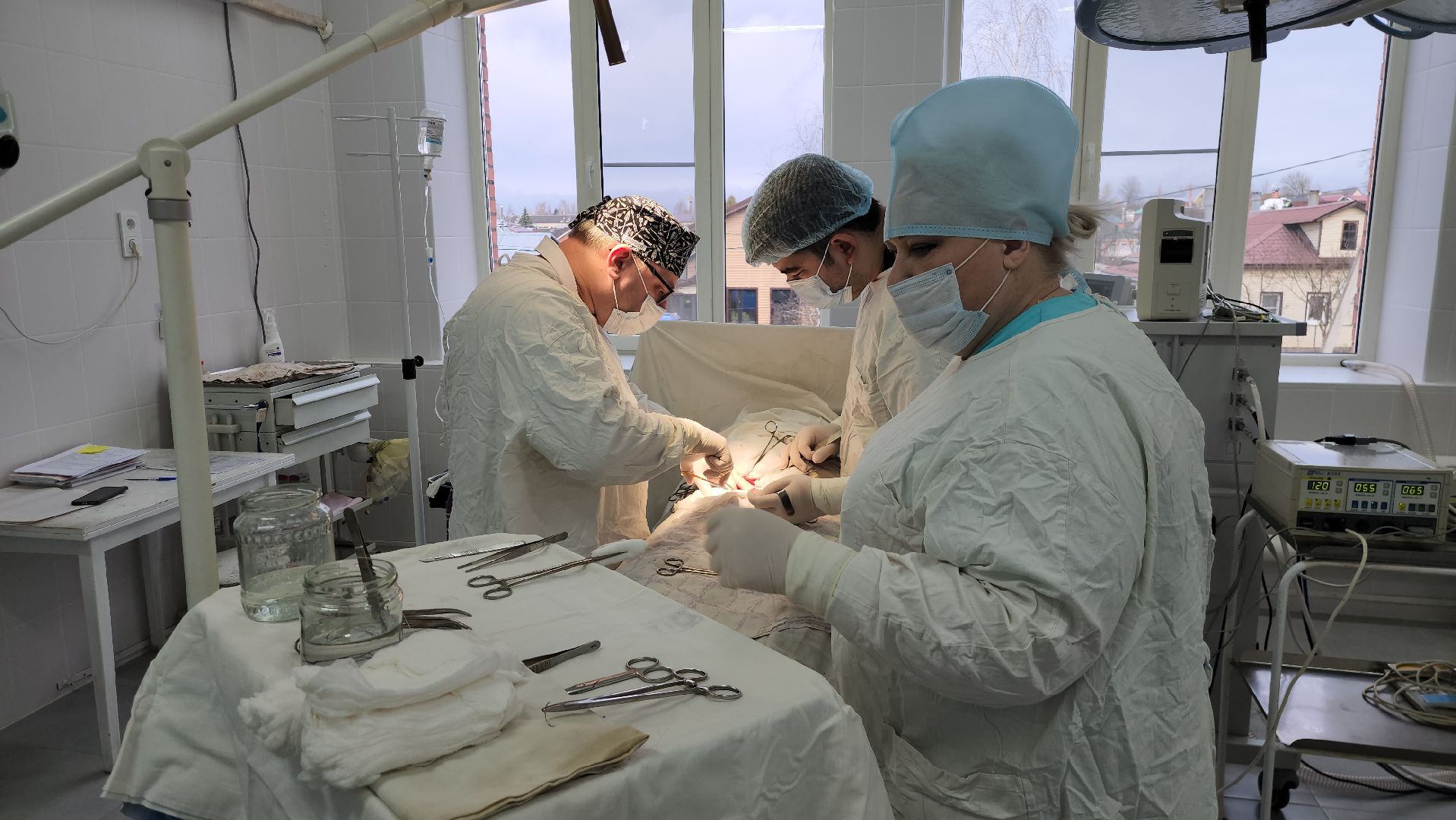 Руза, Медицина, Рузская больница,