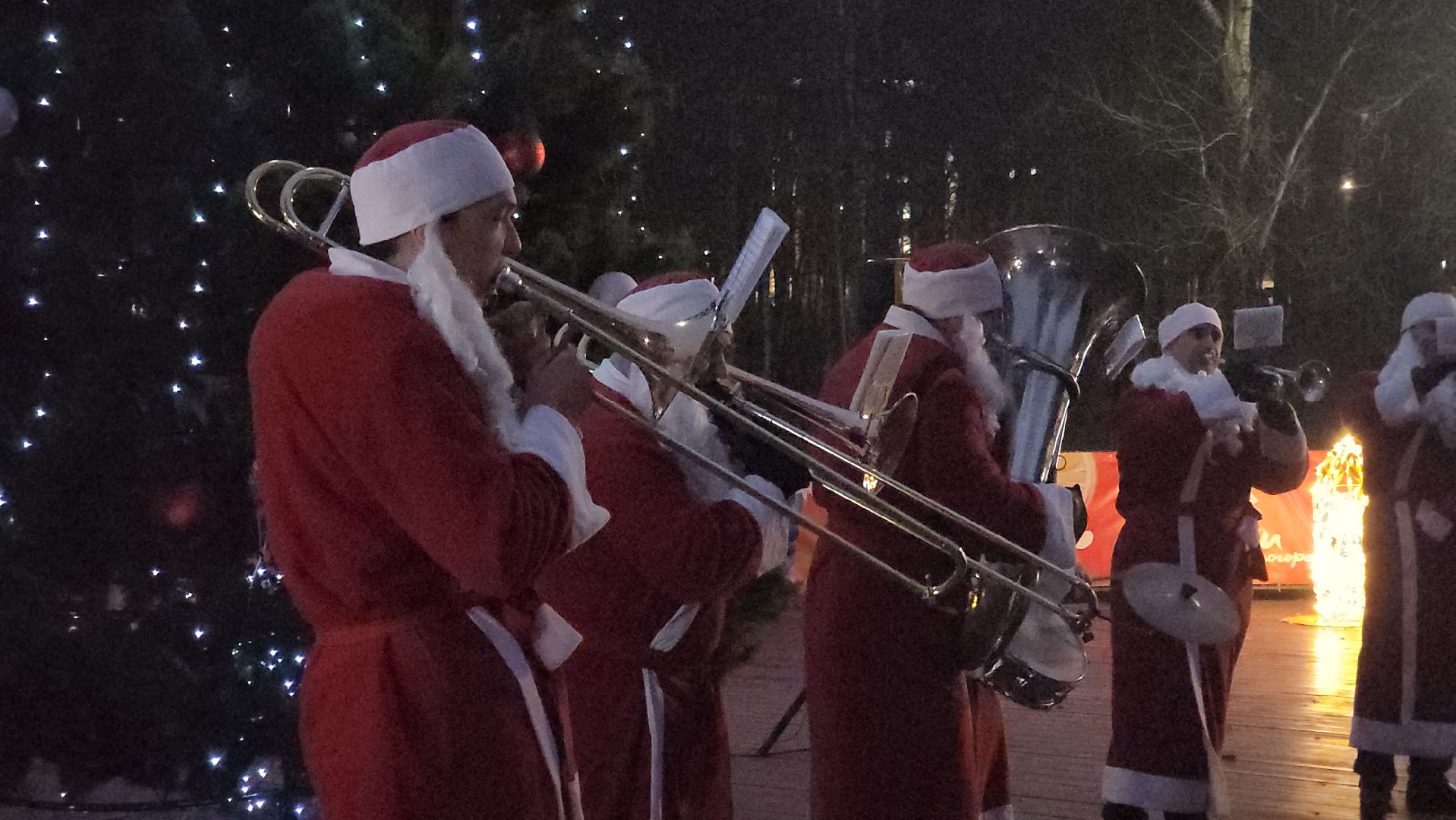 зажжение елки, зима в подмомсковье, парки красногорска,парк ивановские пруды,