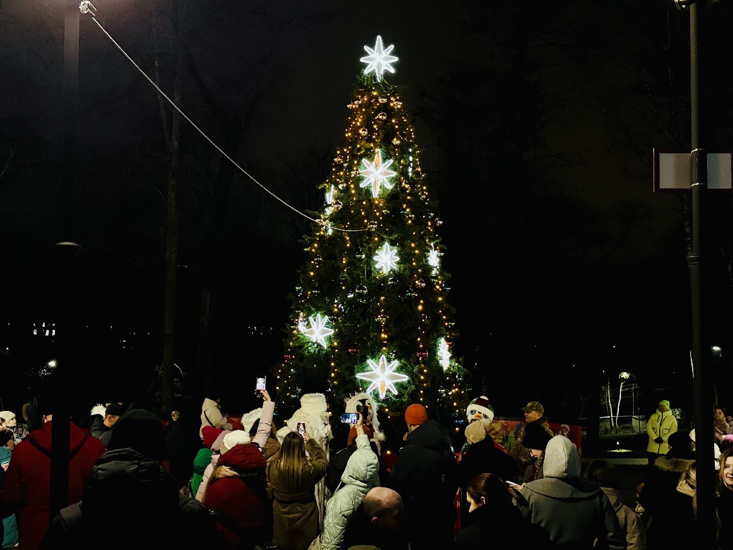 раменское, новый год, новый год 2026, зажжение огней, открытие зимнего сезона, раменский городской парк,