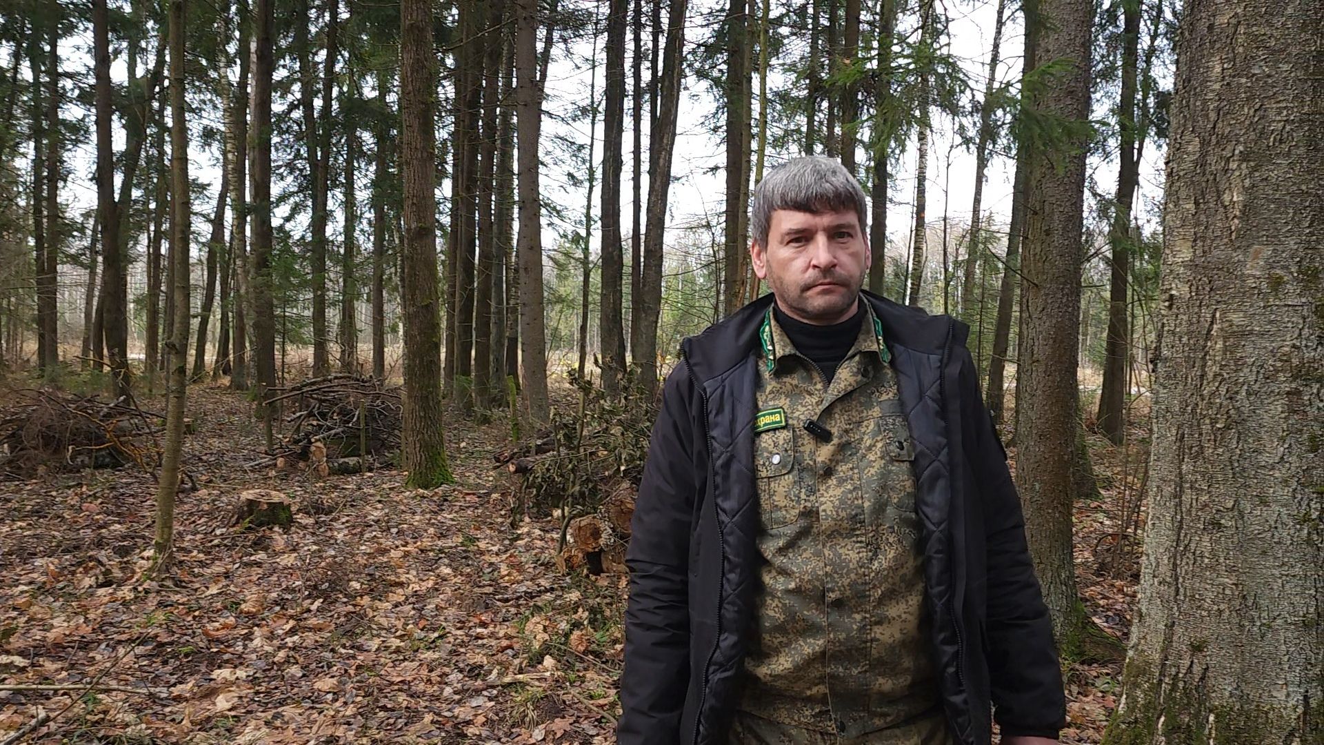 Егорьевск, Подмосковье, Московская область,