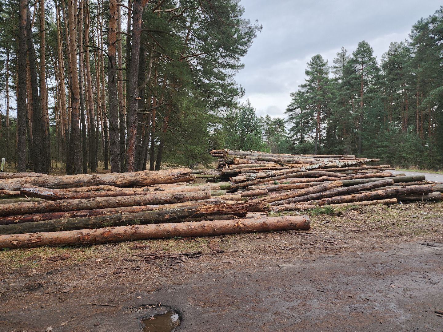 Егорьевск, Подмосковье, Московская область,