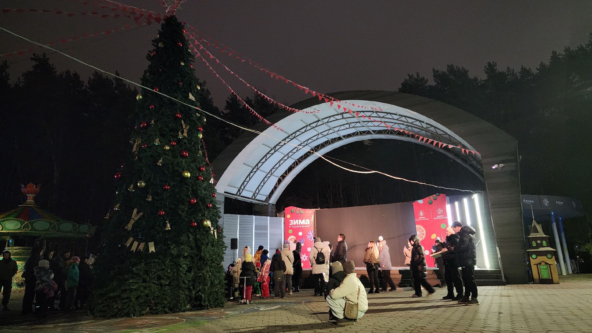 домодедово, подмосковье , зимний сезон, парки домодедово, ёлка, зима в подмосковье,