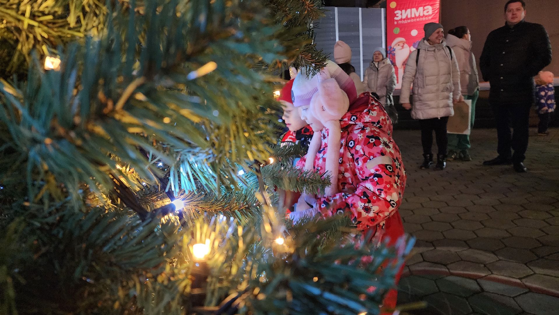 домодедово, подмосковье , зимний сезон, парки домодедово, ёлка, зима в подмосковье,