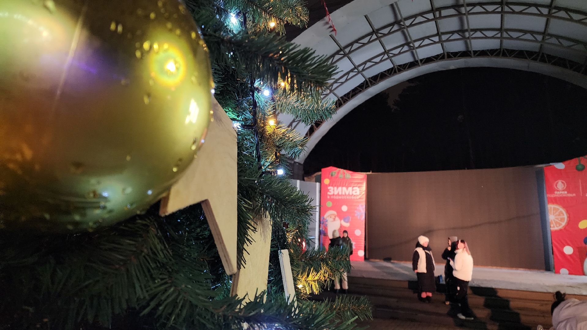 домодедово, подмосковье , зимний сезон, парки домодедово, ёлка, зима в подмосковье,