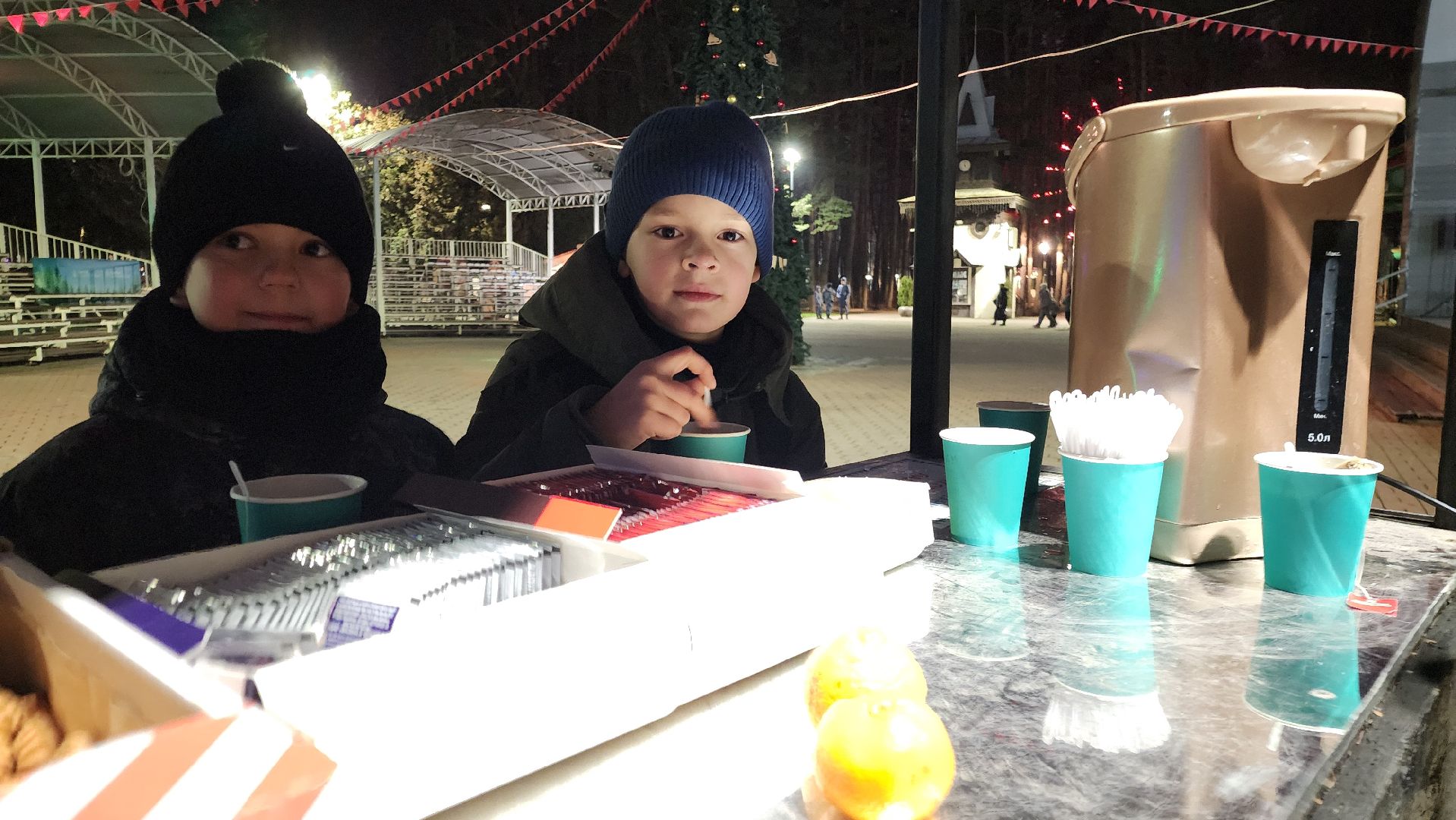 домодедово, подмосковье , зимний сезон, парки домодедово, ёлка, зима в подмосковье,