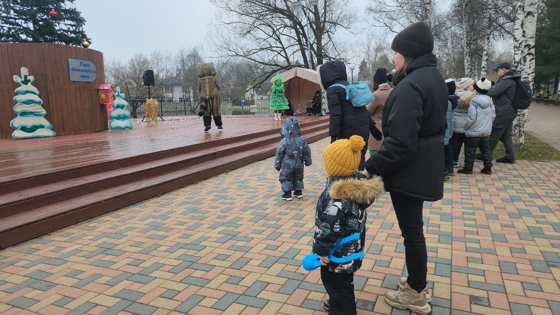 зима в подмосковье, красногорск медицина, зажжение елки,