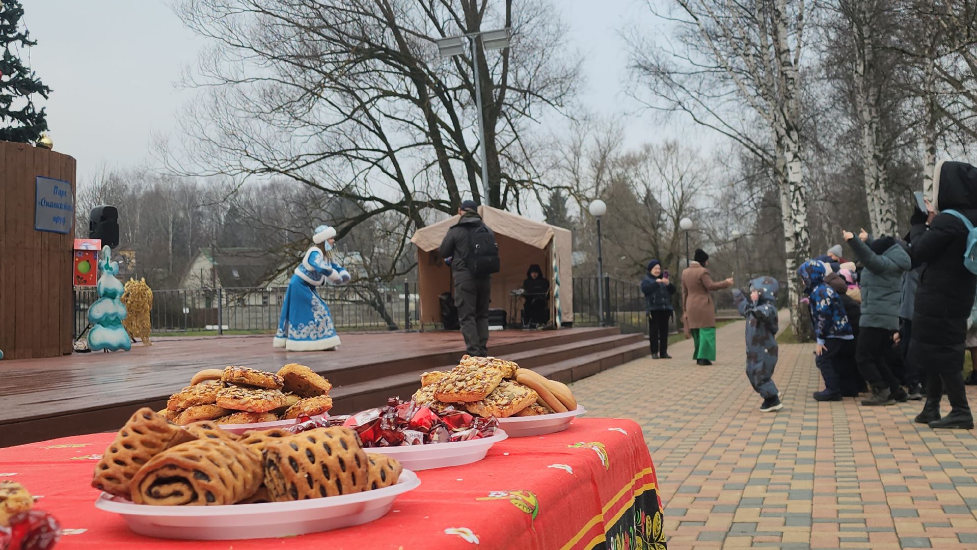 зима в подмосковье, красногорск медицина, зажжение елки,