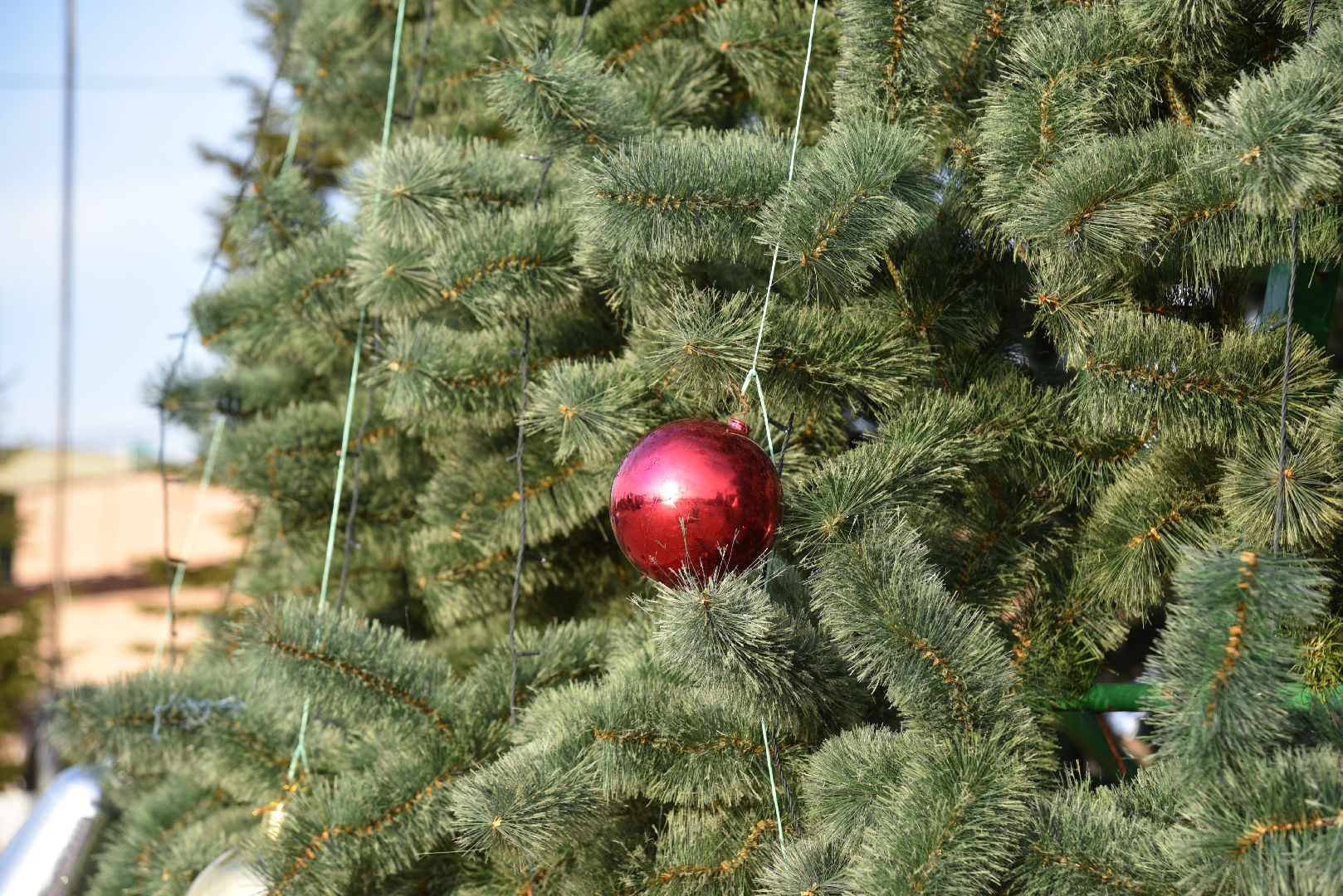 лотошино, лотошинский парк, новый год,