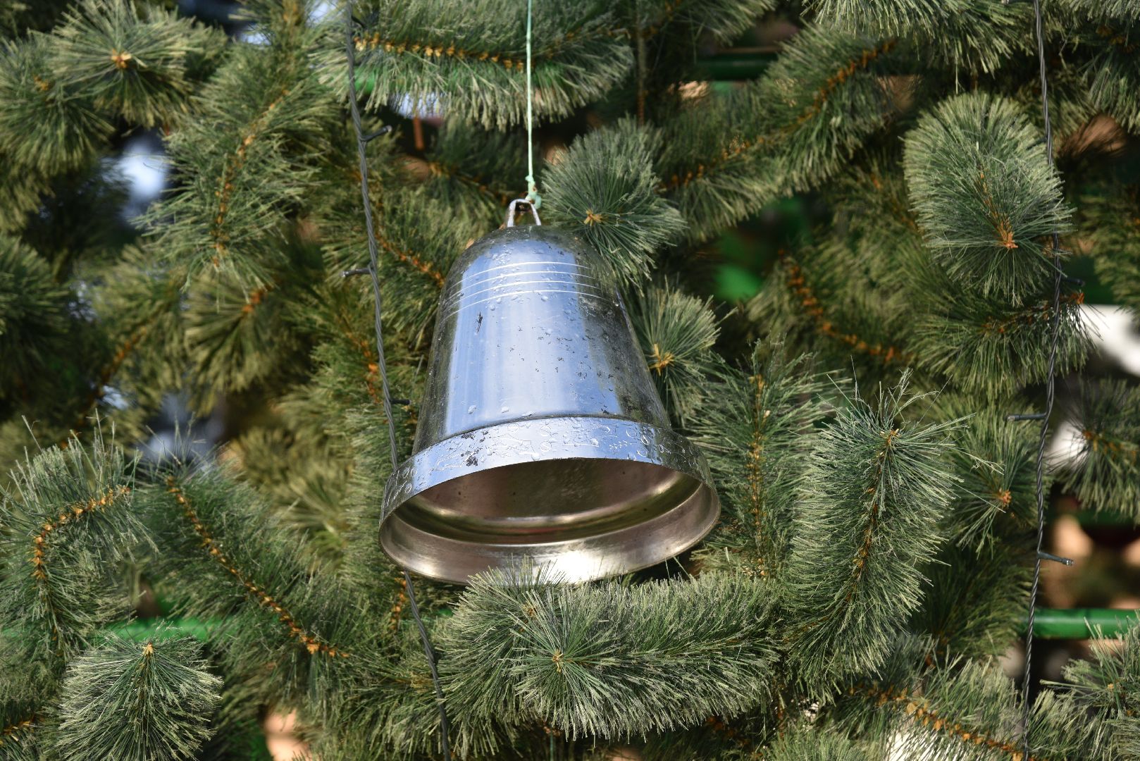 лотошино, лотошинский парк, новый год,