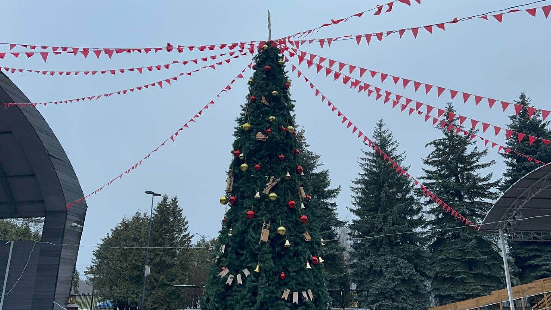 новый год, зима в подмосковье, домодедово,