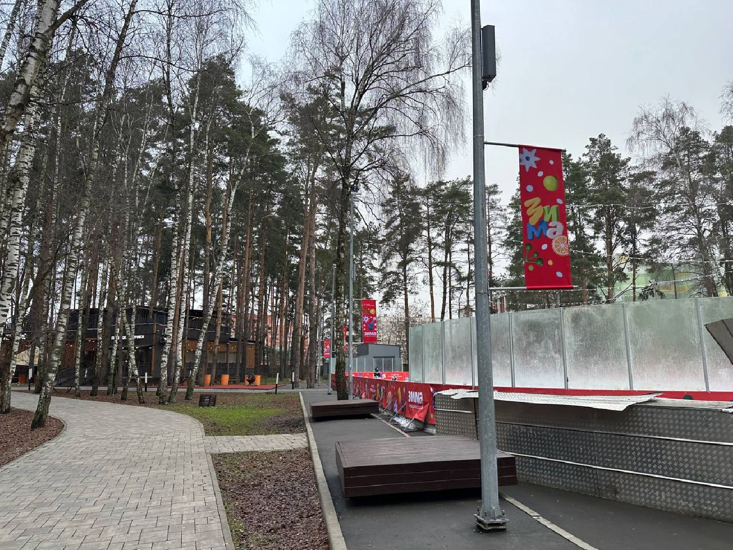 новый год, зима в подмосковье, домодедово,