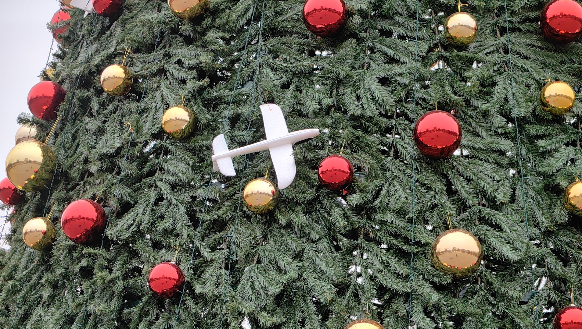 праздник, зимний сезон, парк, елка, дед мороз,