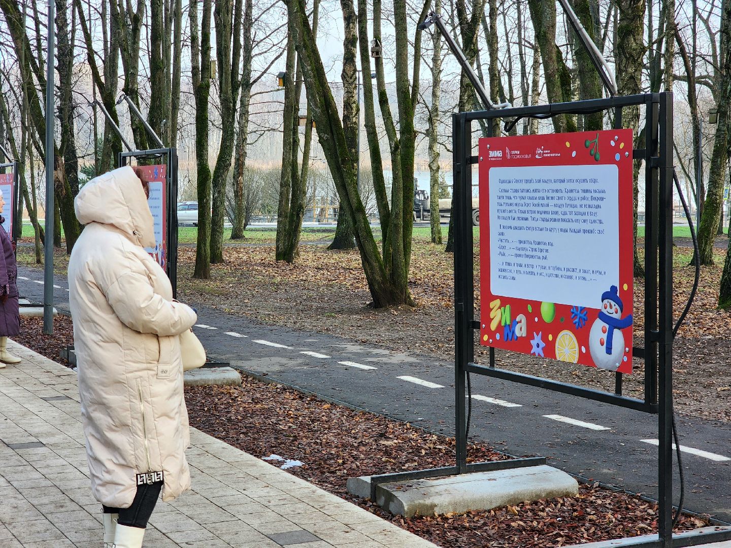 солнечногорск, зима, новый год, праздник ,