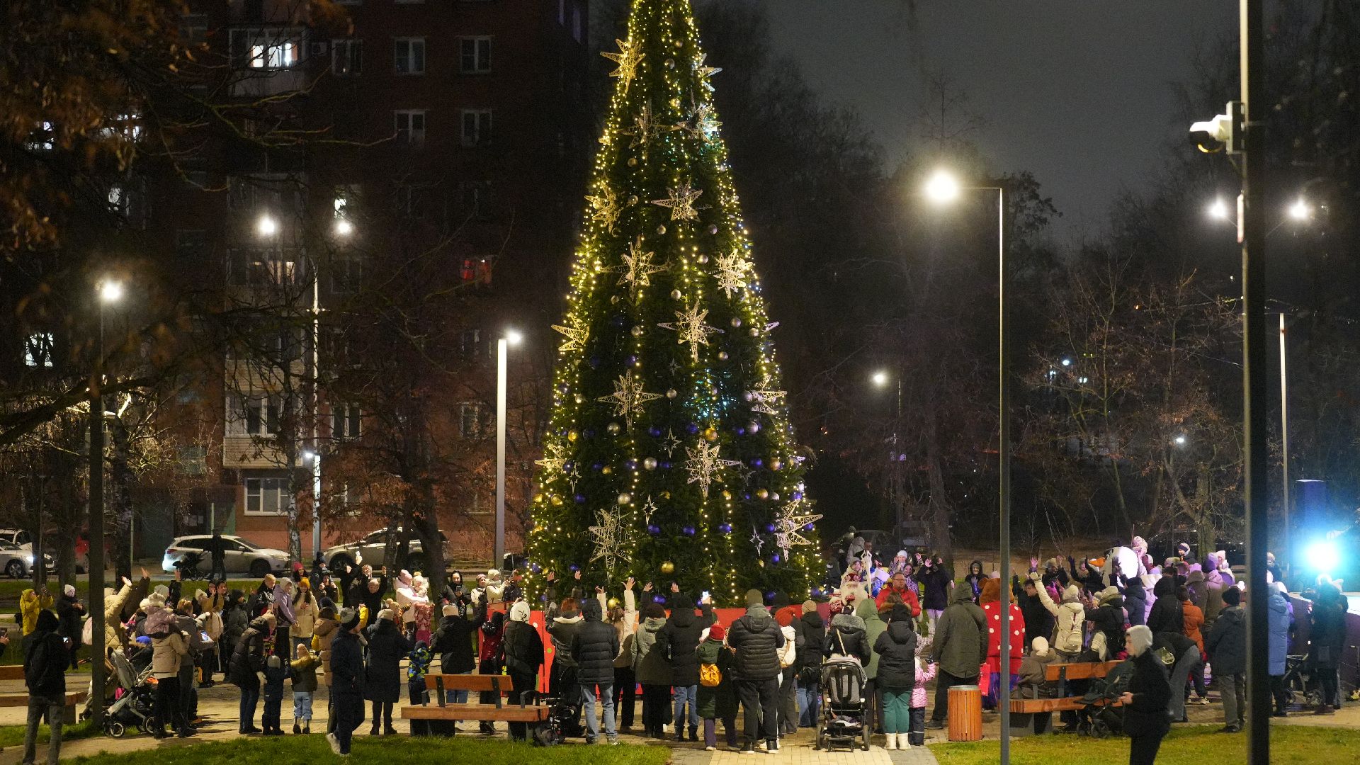 зима, елка, зима в подмомсковье, новый год,