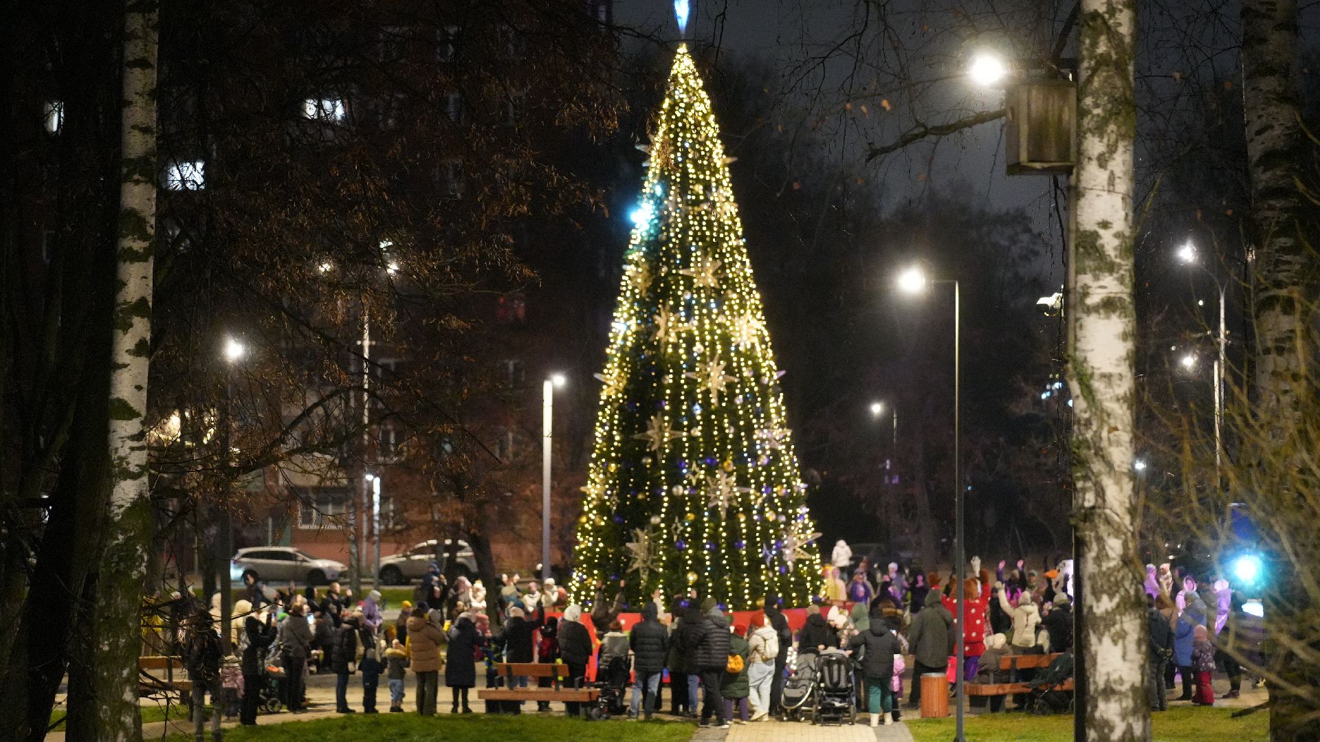 зима, елка, зима в подмомсковье, новый год,