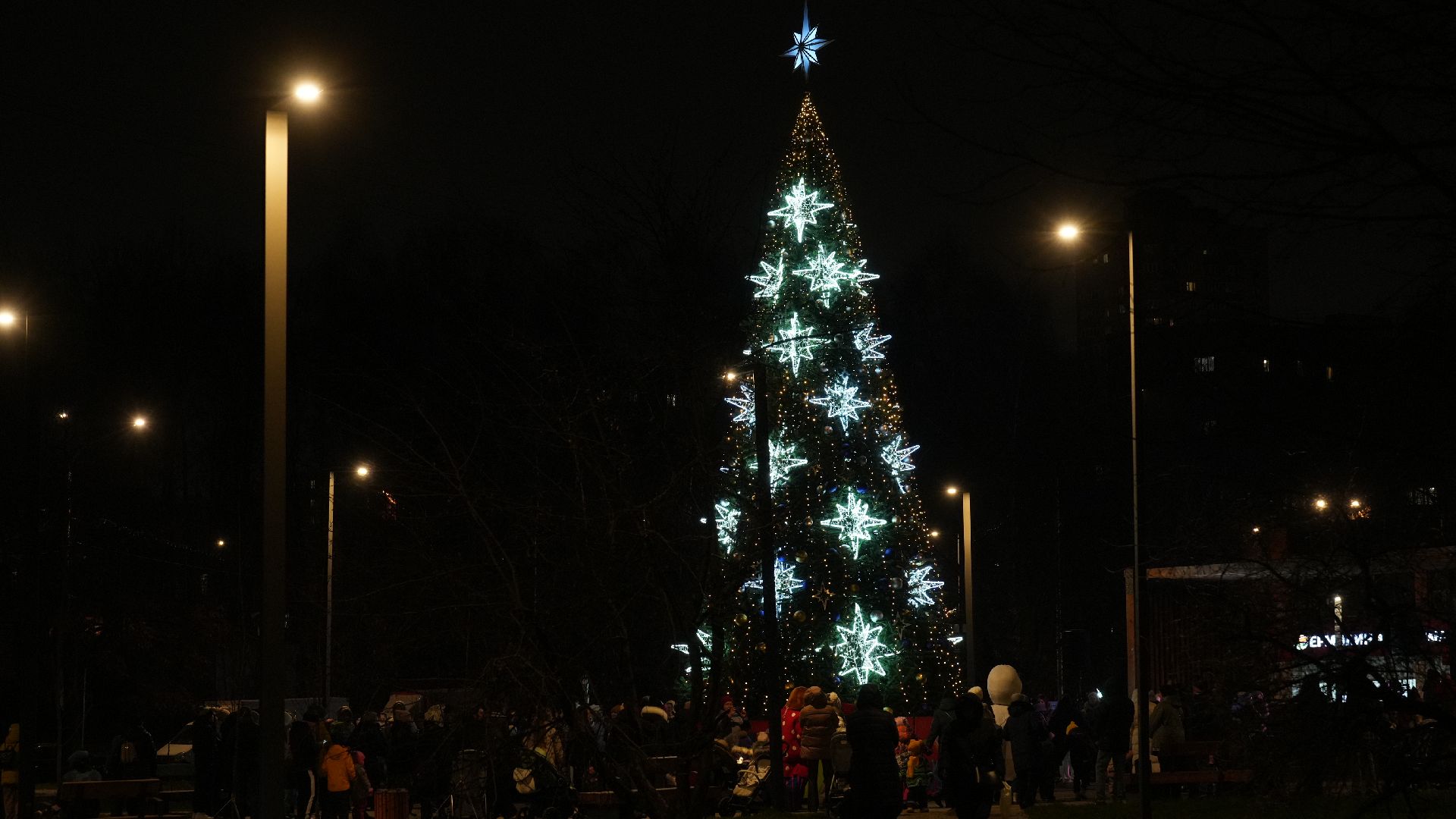 зима, елка, зима в подмомсковье, новый год,