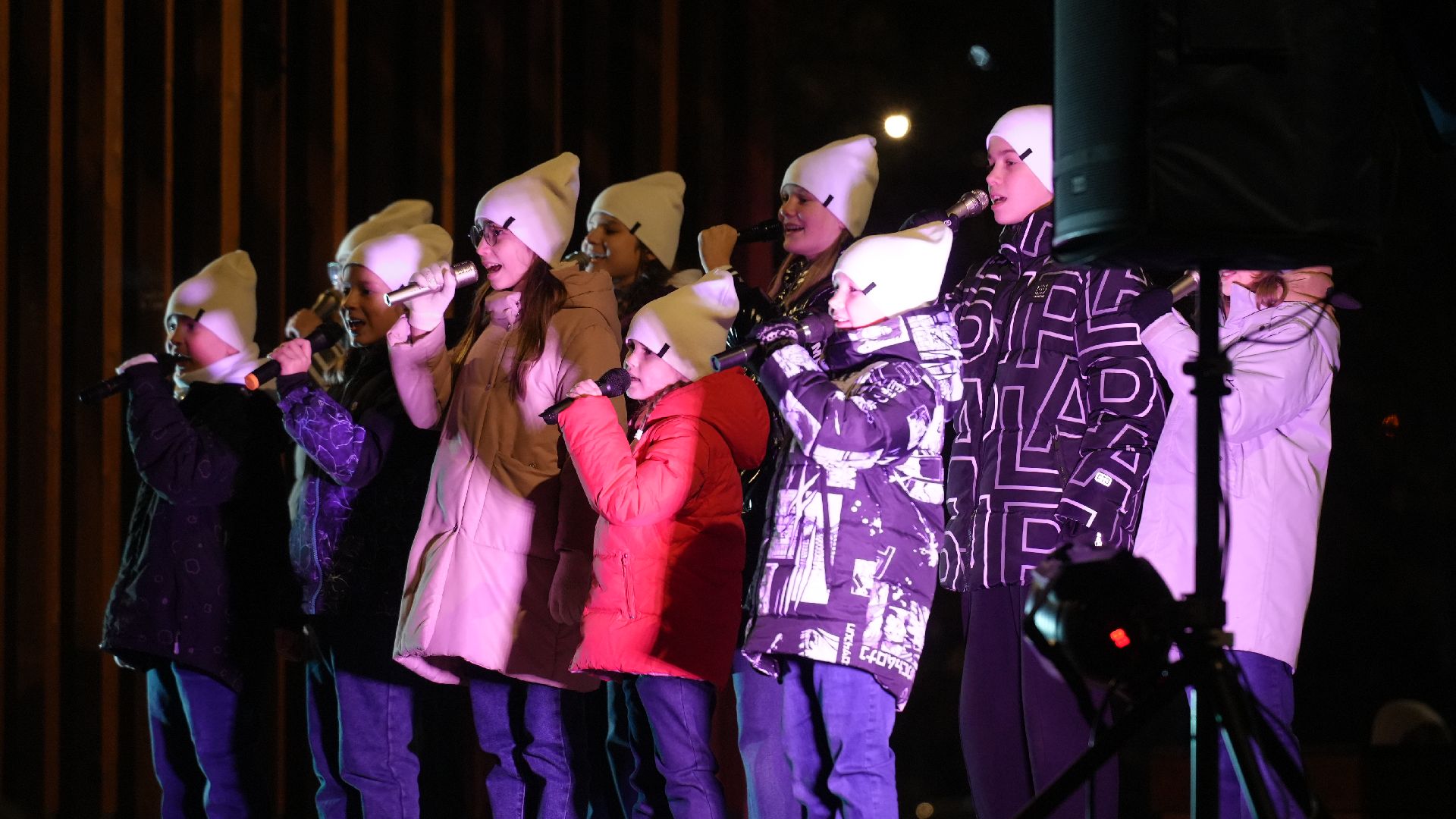 зима, елка, зима в подмомсковье, новый год,