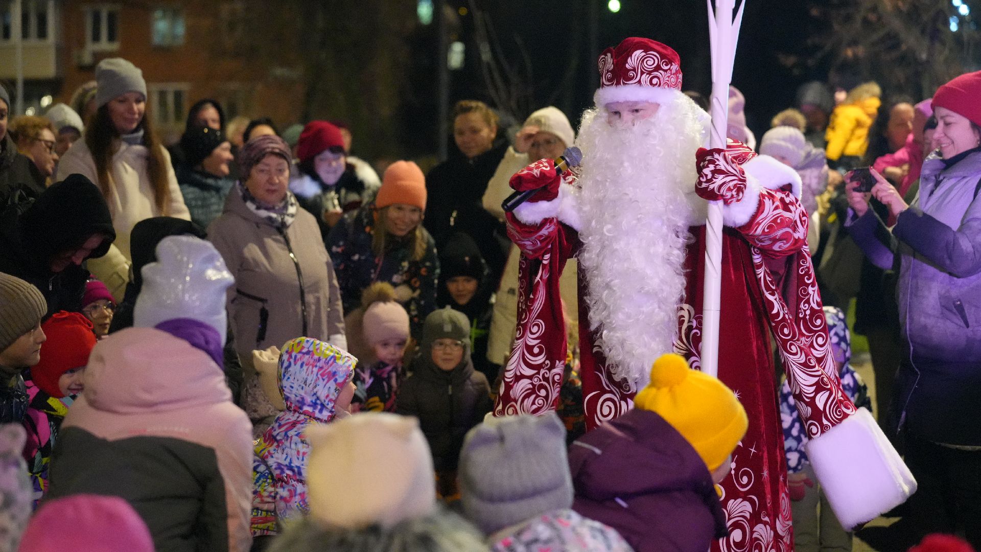 зима, елка, зима в подмомсковье, новый год,