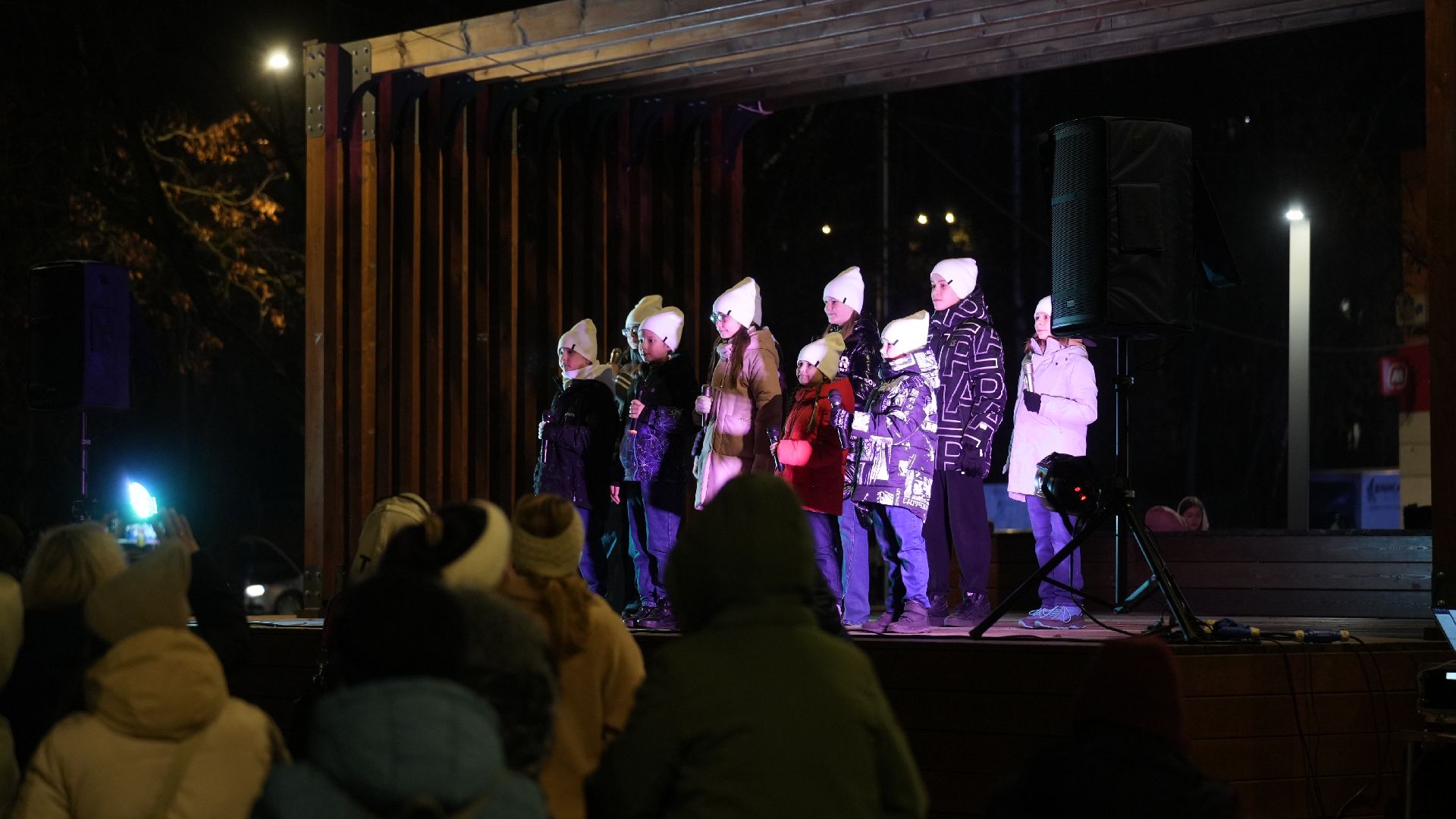 зима, елка, зима в подмомсковье, новый год,