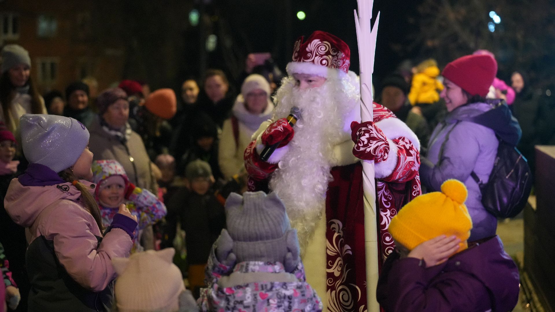 зима, елка, зима в подмомсковье, новый год,