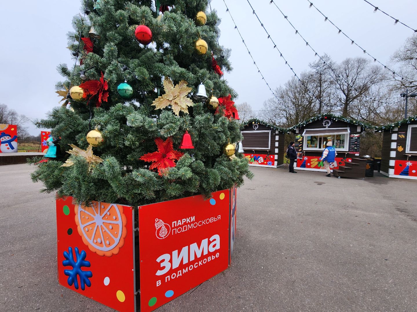чехов, зима в подмосковье, проект губернатора московской области, городской парк, советская площадь, центральные улицы, украшения, фирменные баннеры, новогодние ели, гирлянды и игрушки, световые инсталляции, световые конструкции, плакаты,акции, елка желаний,