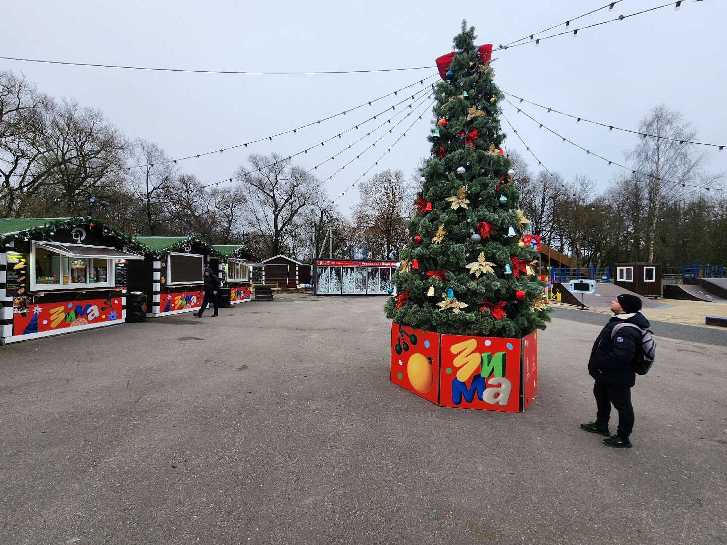 чехов, зима в подмосковье, проект губернатора московской области, городской парк, советская площадь, центральные улицы, украшения, фирменные баннеры, новогодние ели, гирлянды и игрушки, световые инсталляции, световые конструкции, плакаты,акции, елка желаний,