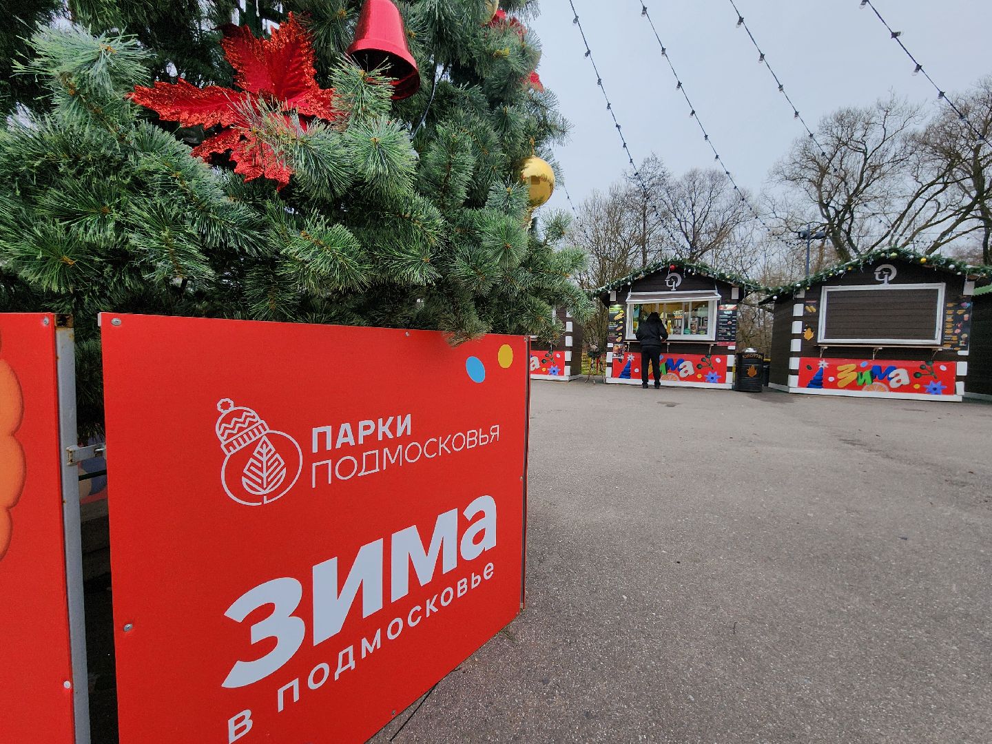 чехов, зима в подмосковье, проект губернатора московской области, городской парк, советская площадь, центральные улицы, украшения, фирменные баннеры, новогодние ели, гирлянды и игрушки, световые инсталляции, световые конструкции, плакаты,акции, елка желаний,