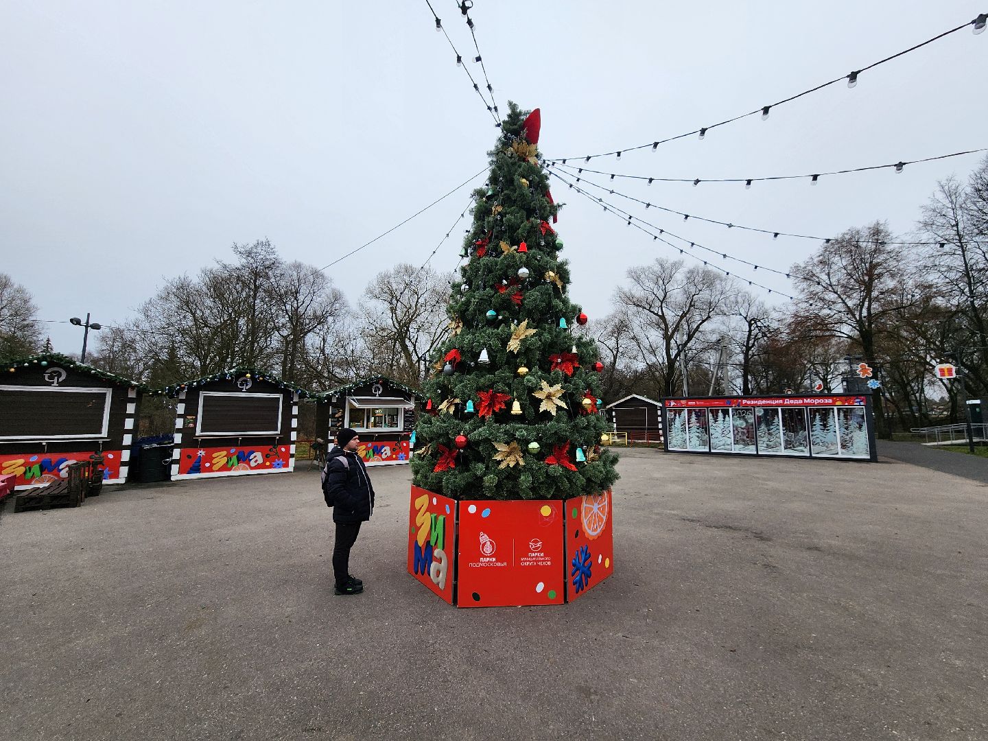 чехов, зима в подмосковье, проект губернатора московской области, городской парк, советская площадь, центральные улицы, украшения, фирменные баннеры, новогодние ели, гирлянды и игрушки, световые инсталляции, световые конструкции, плакаты,акции, елка желаний,