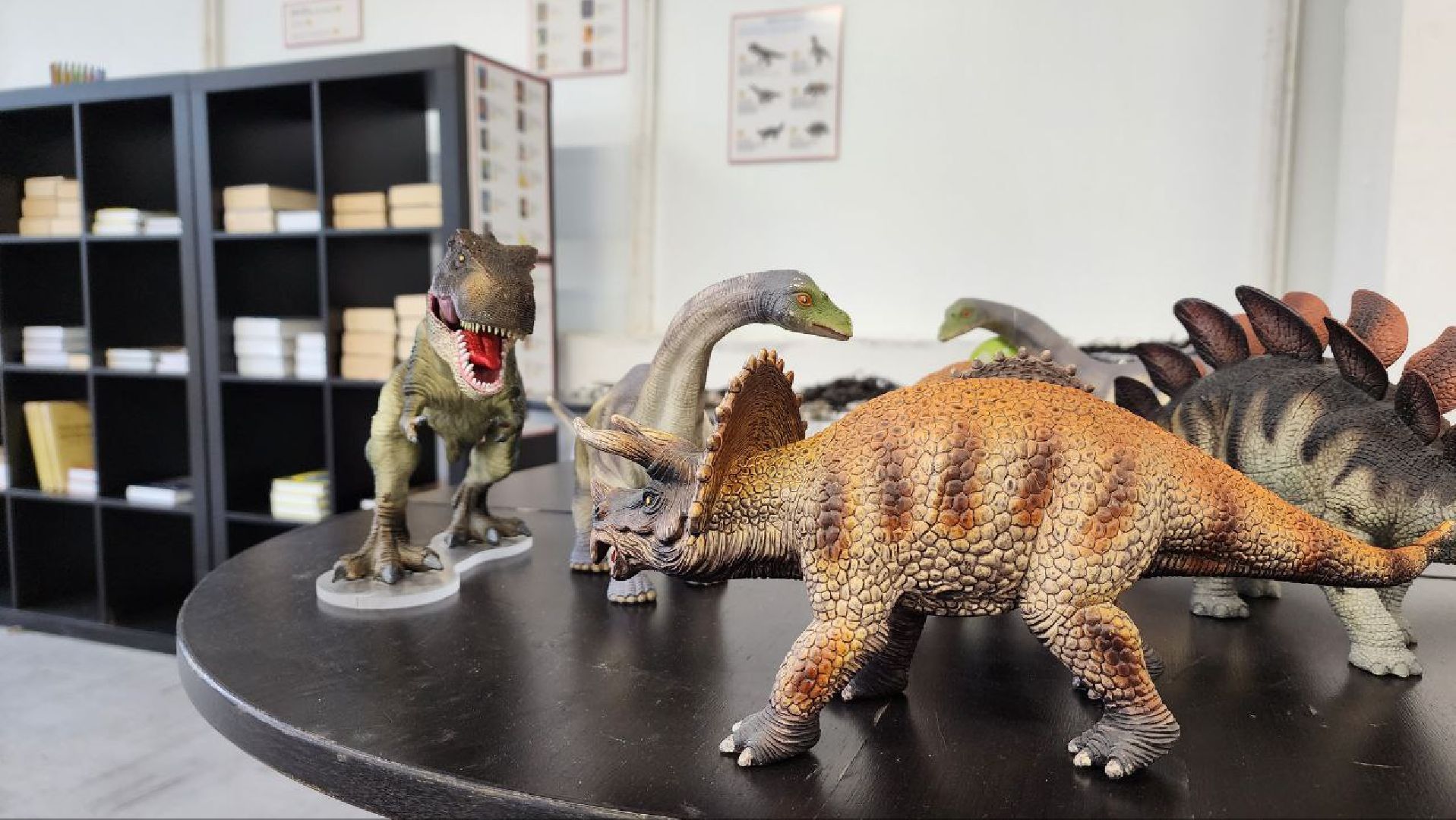 Дмитров, Фабрика Леко, Зимний парк Леко,