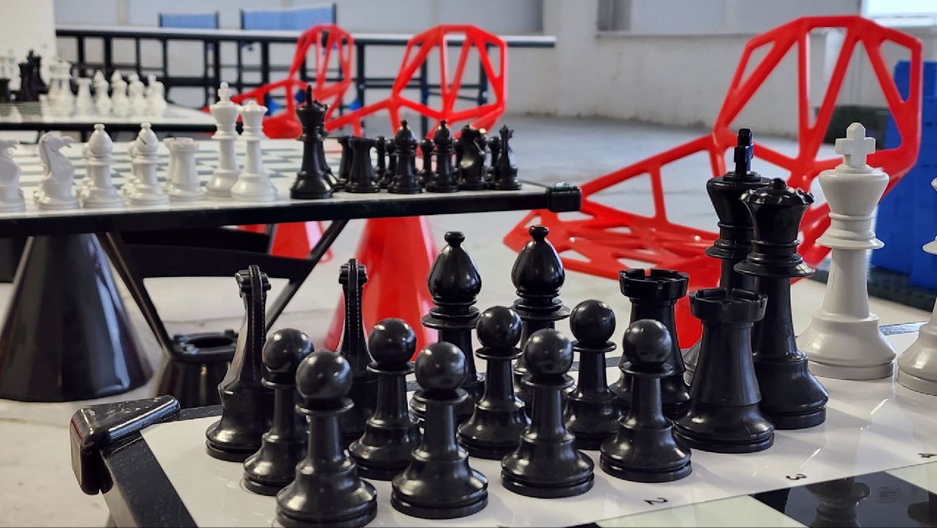 Дмитров, Фабрика Леко, Зимний парк Леко,