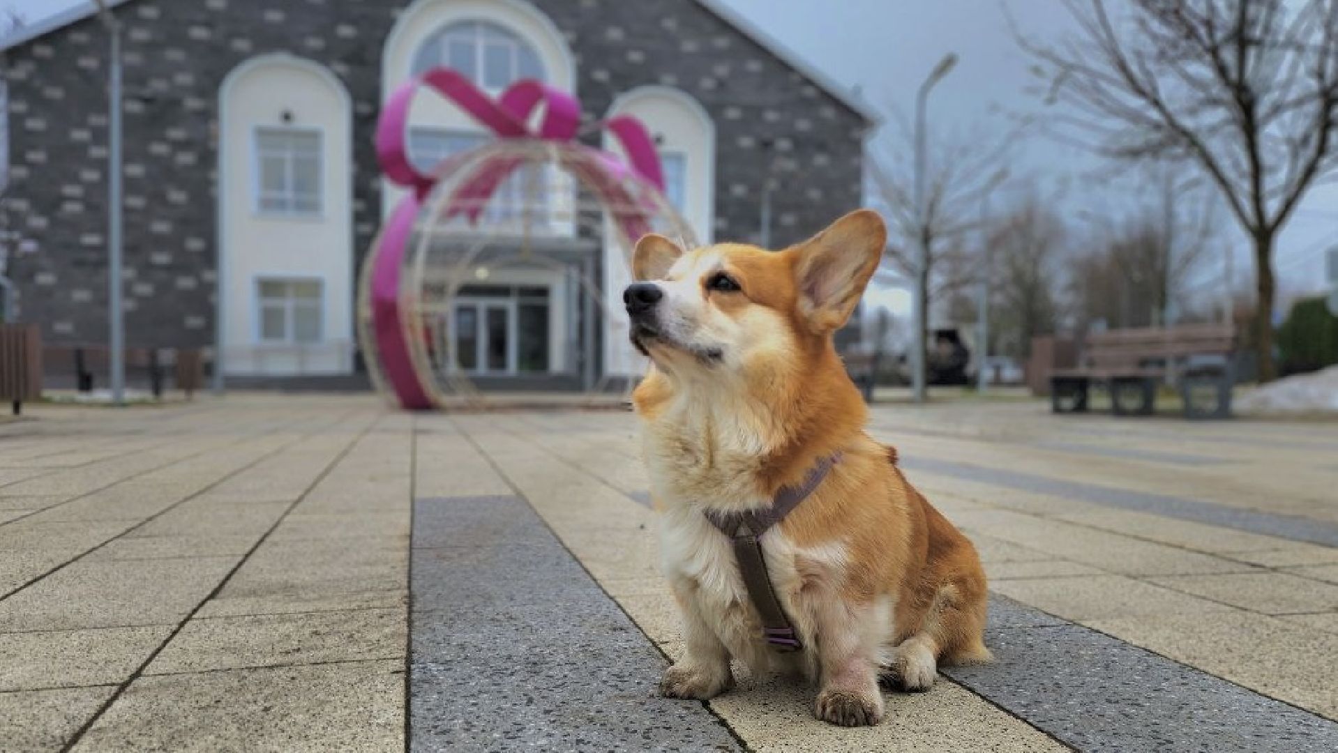 Руза, первый день зимы, украшение города к новому году, благоустройство,