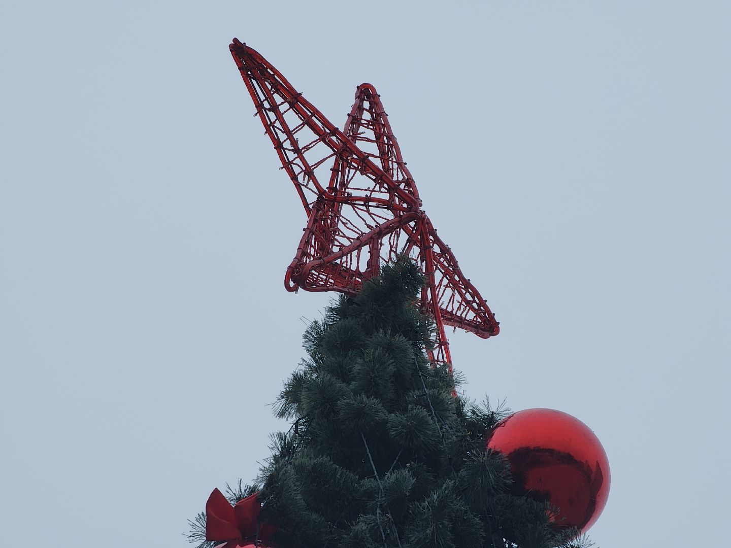 Черноголовка, Новый год, Новогодние елки,