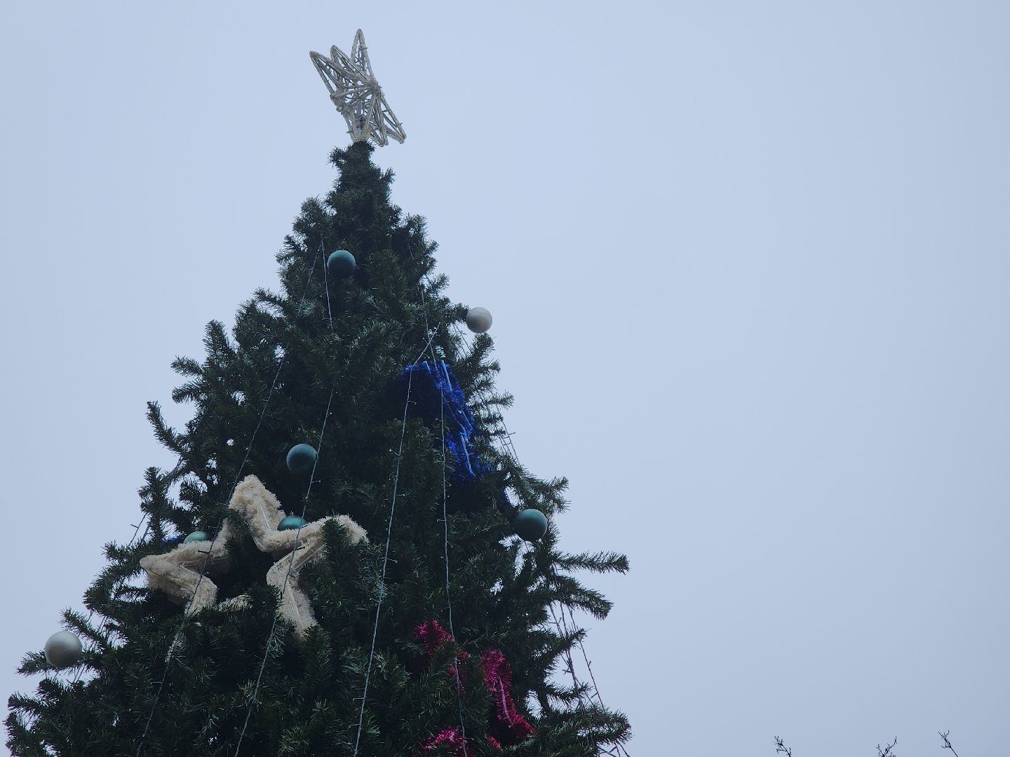 Черноголовка, Новый год, Новогодние елки,