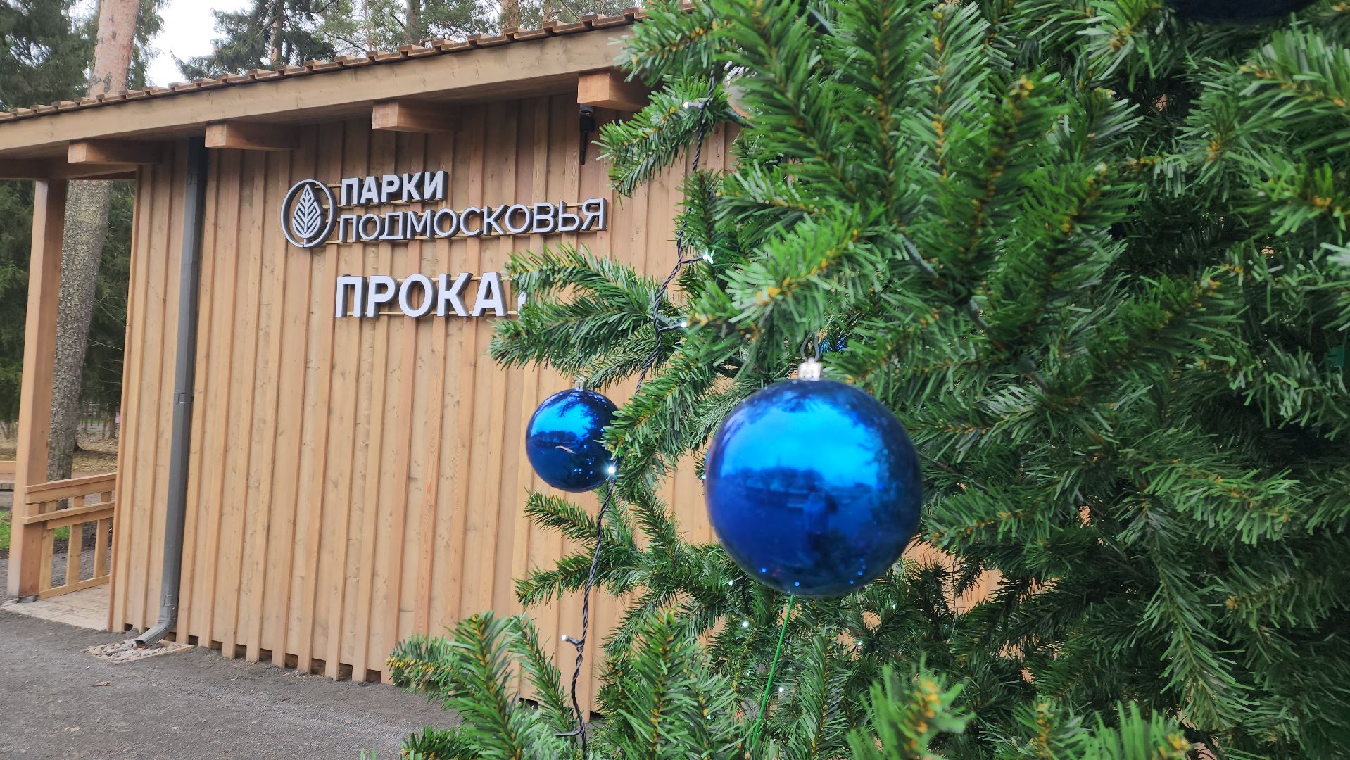 красноармейск, городской округ пушкинский, первый день зимы, новогодние украшения,