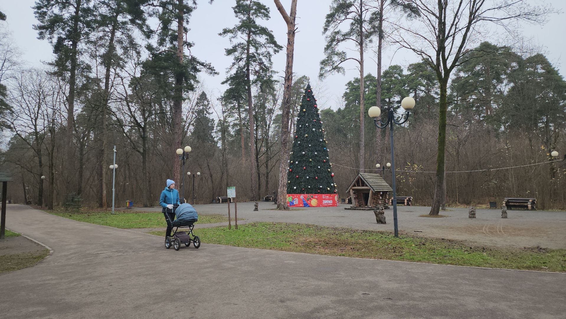 зима в подмосковье, красногорск,